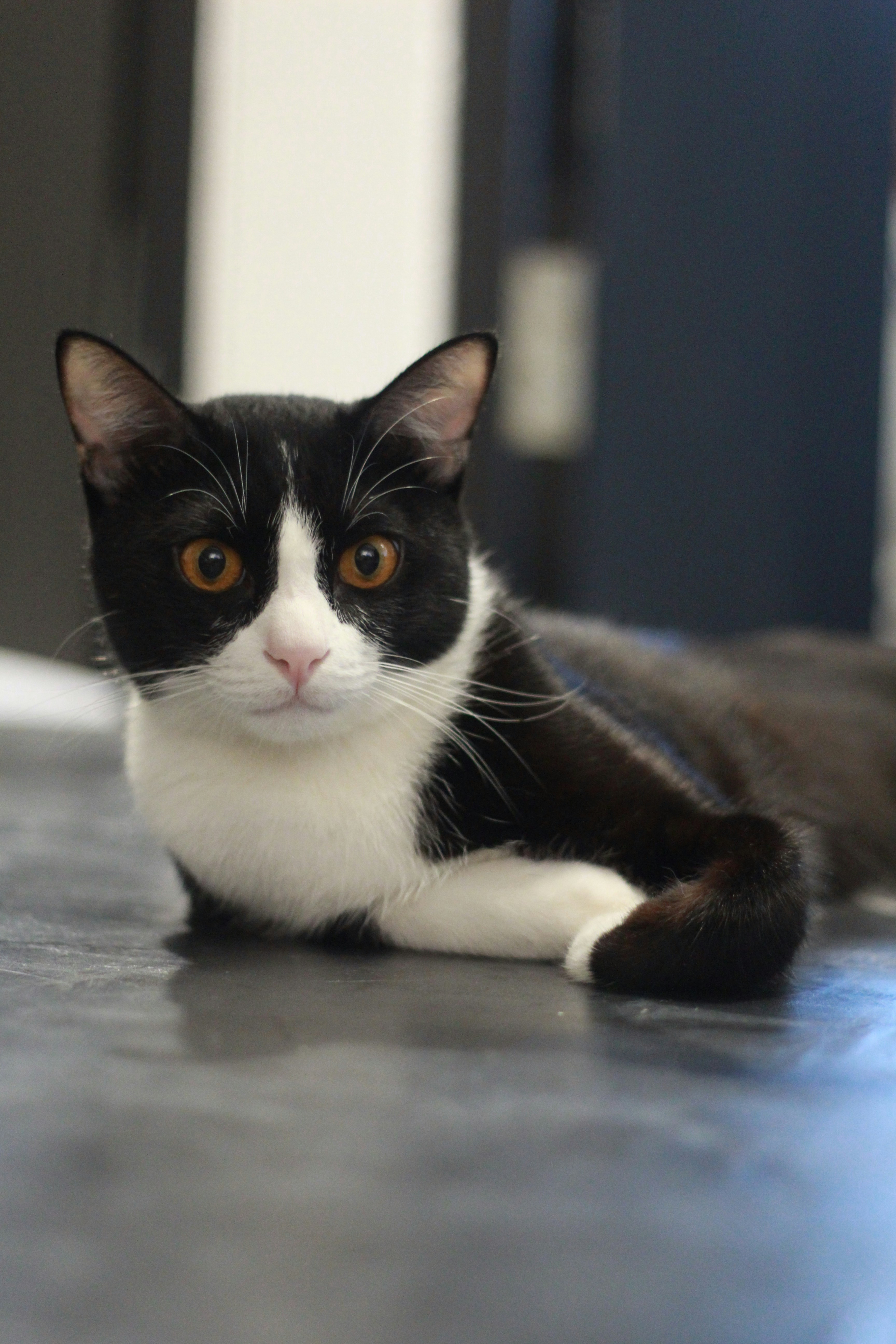 Photo by norapitch_p