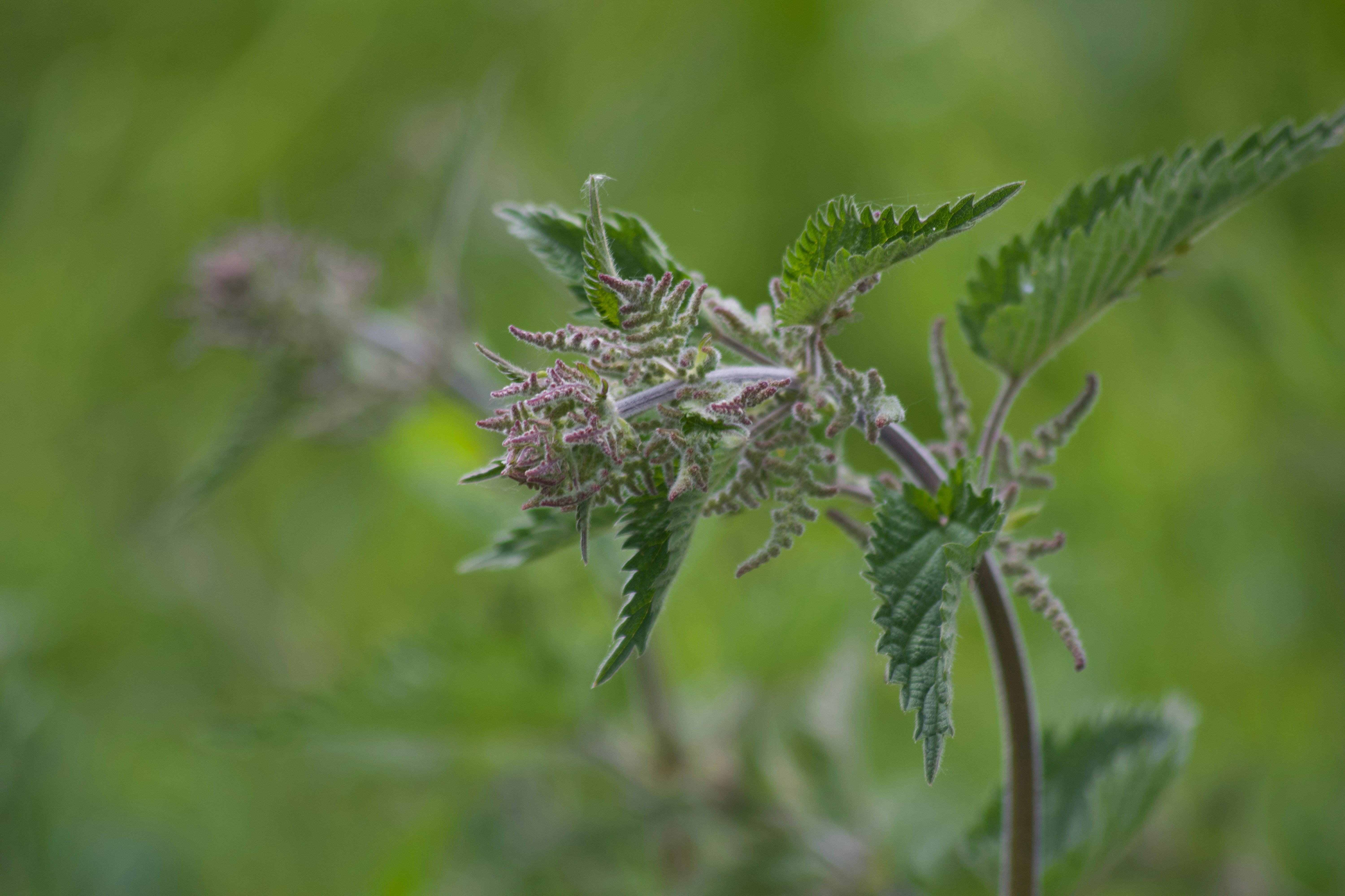 Photo by elliott_colburn_photos777