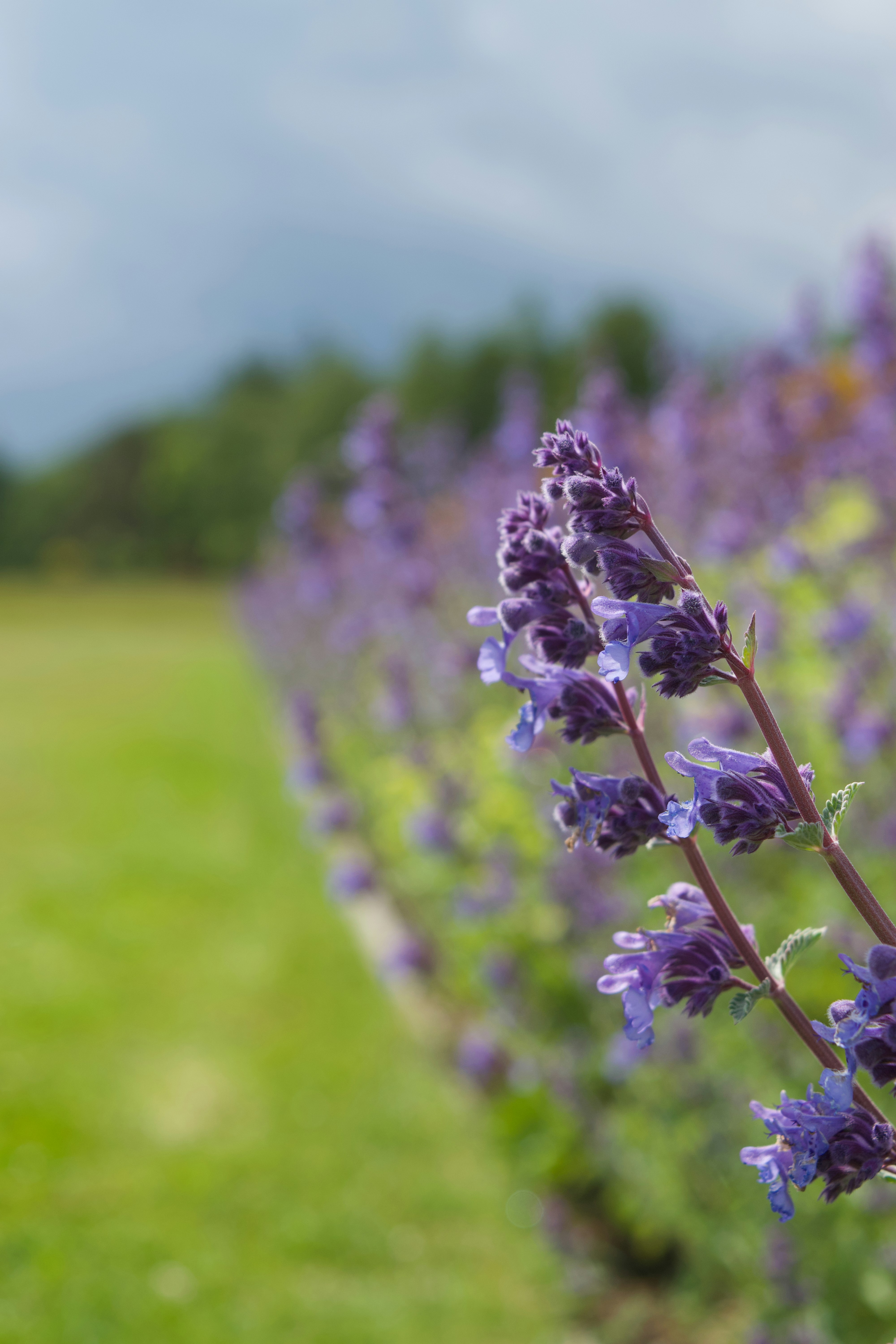 Photo by elliott_colburn_photos777