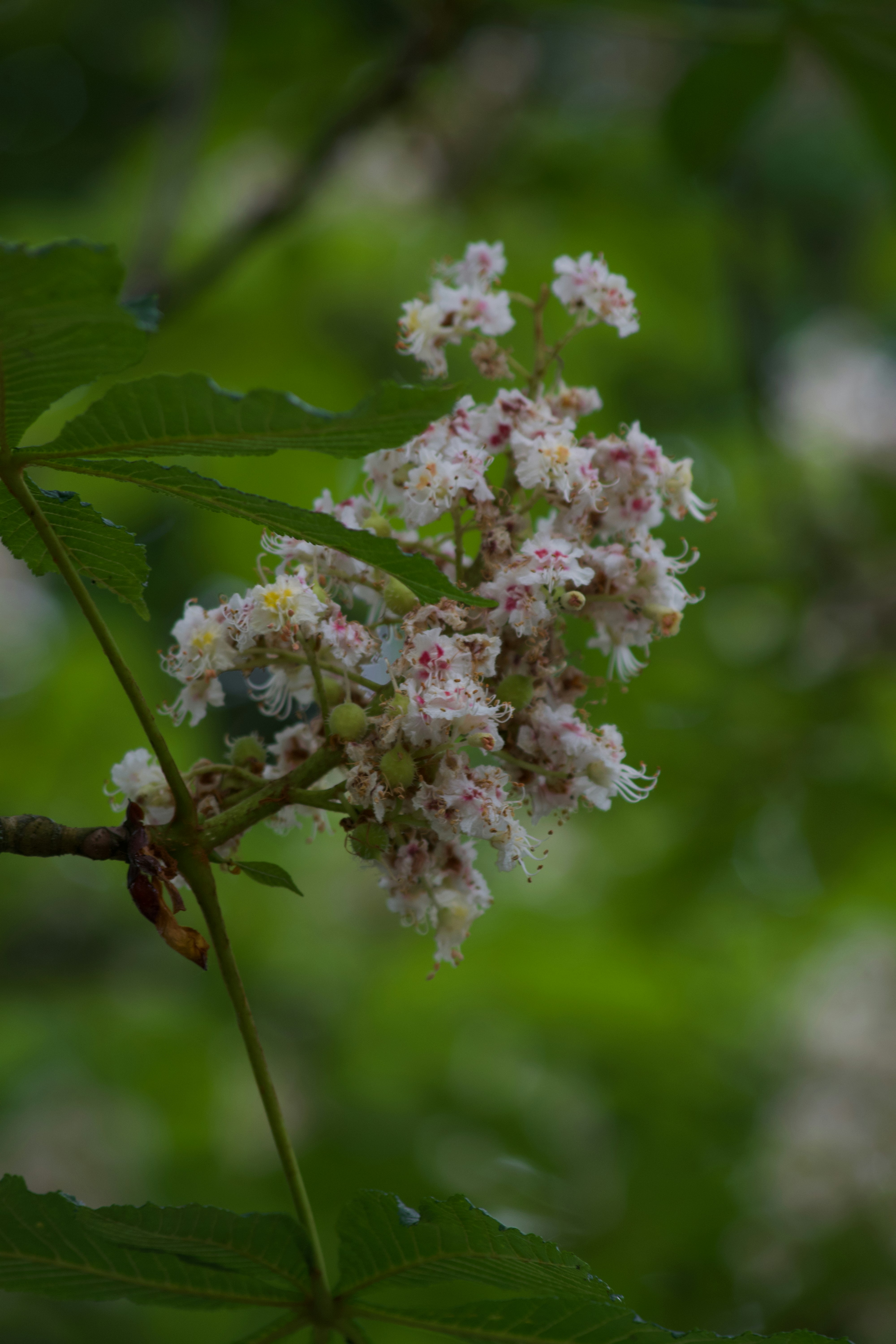Photo by elliott_colburn_photos777