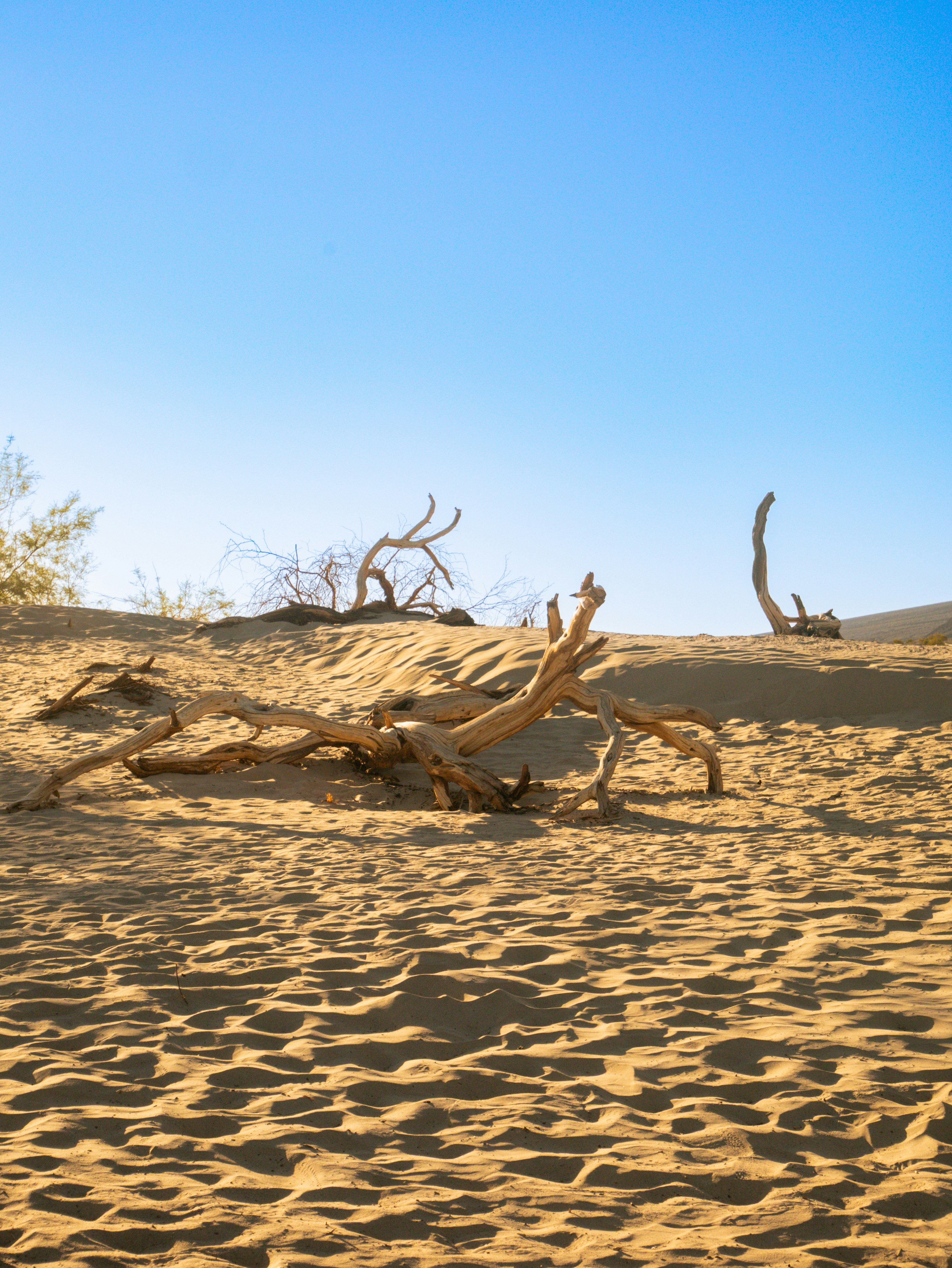 Photo by macaollarzu