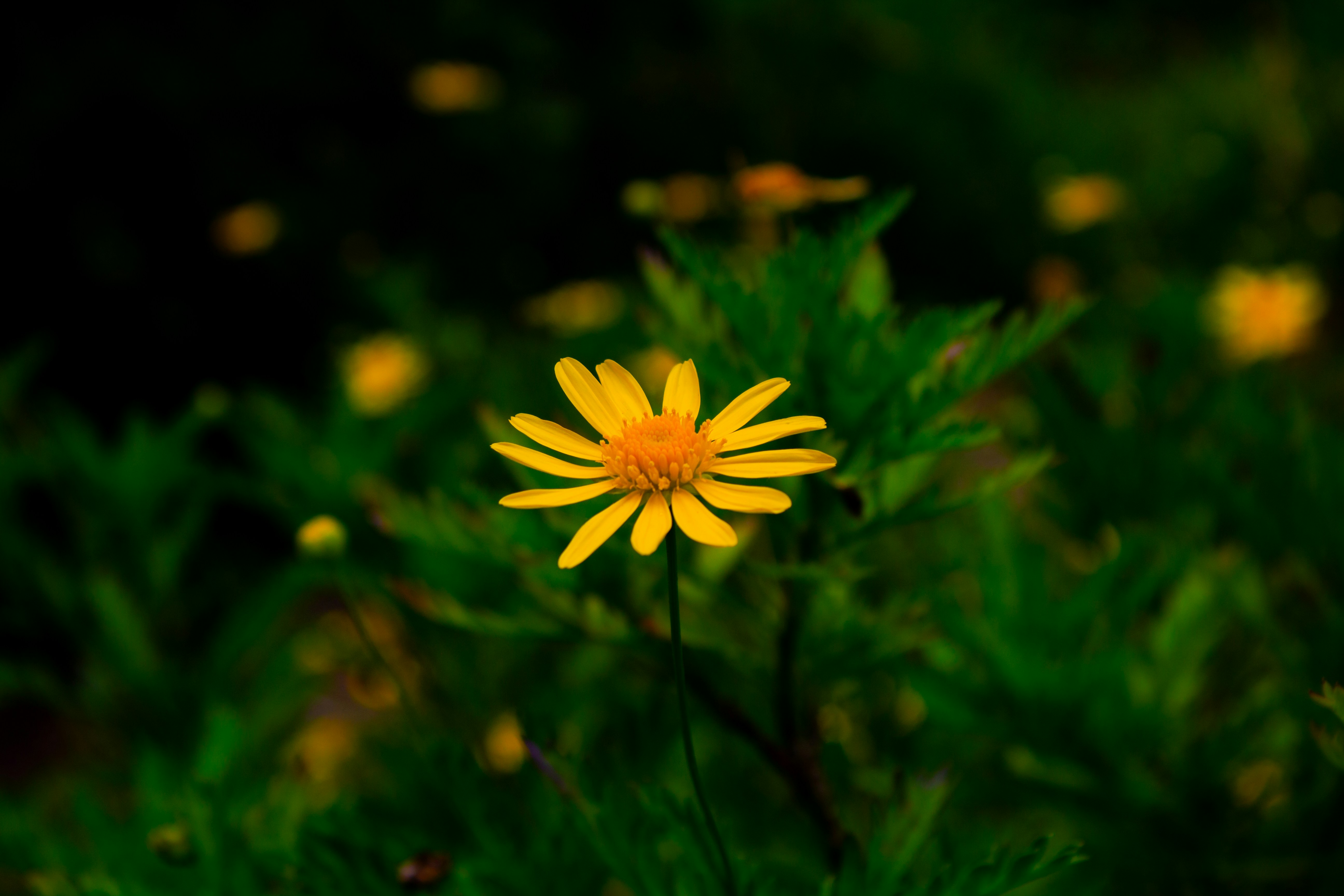 Photo by behind__cover