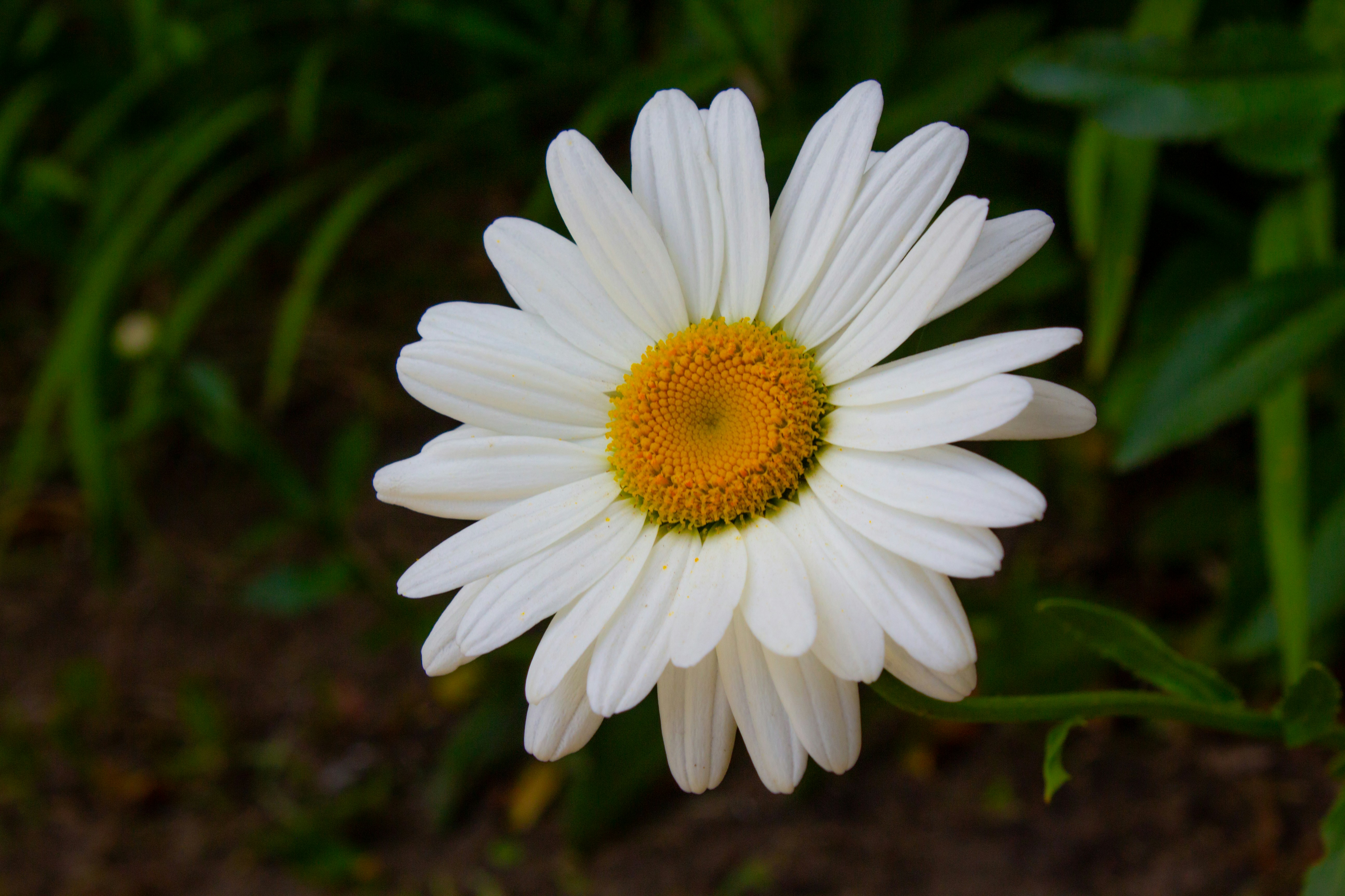 Photo by behind__cover