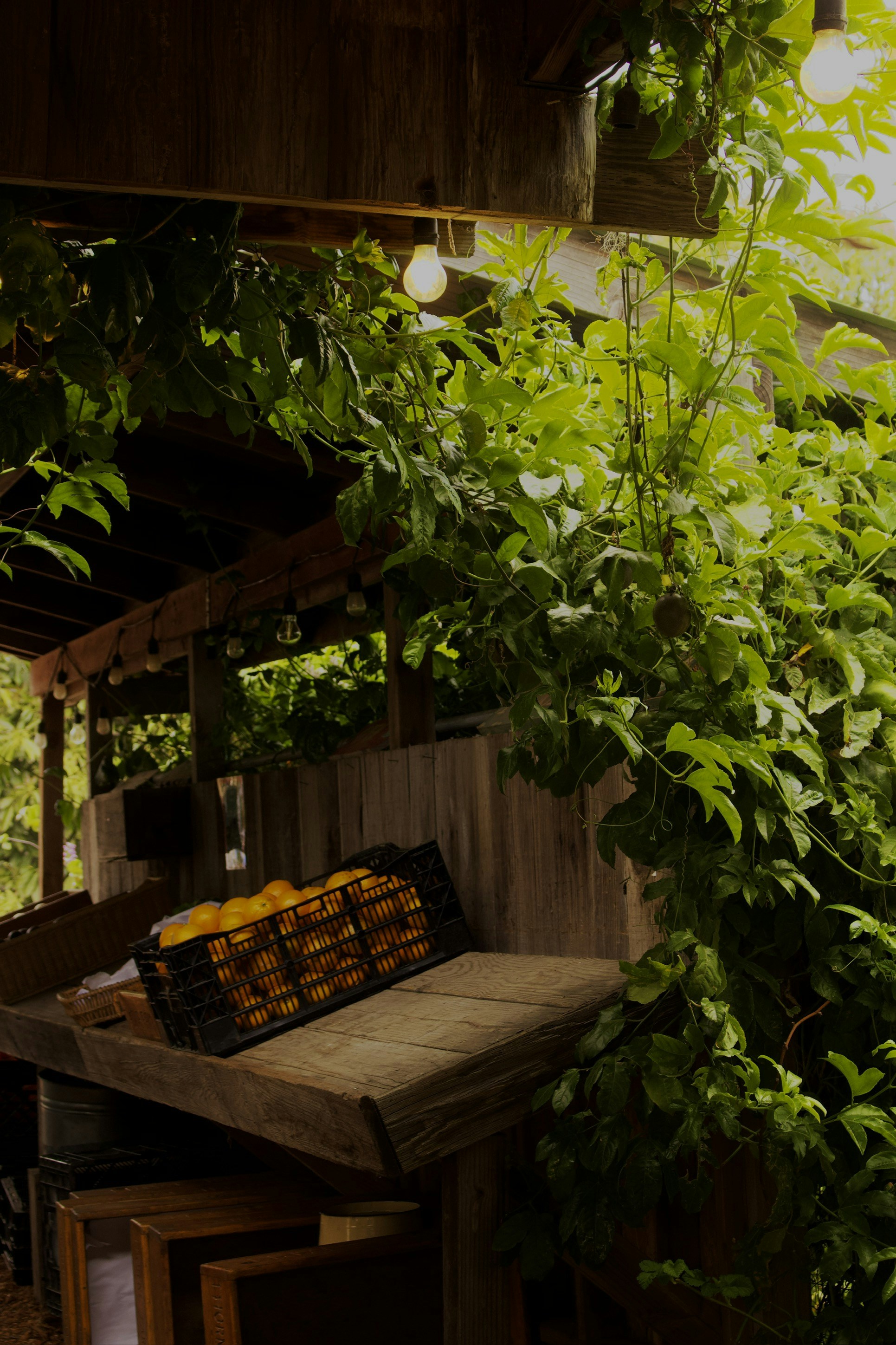 Photo by skyehdesign