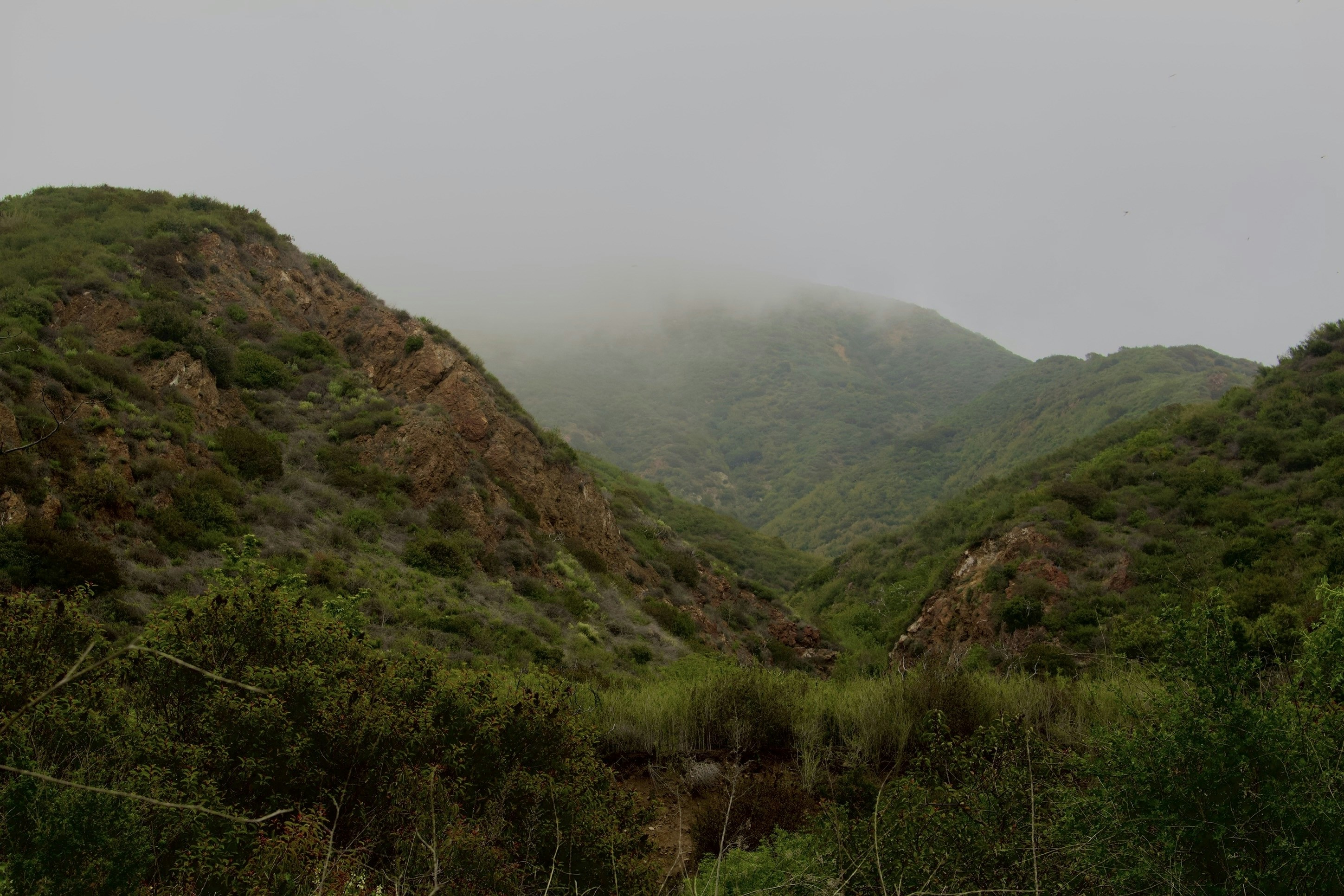 Photo by skyehdesign