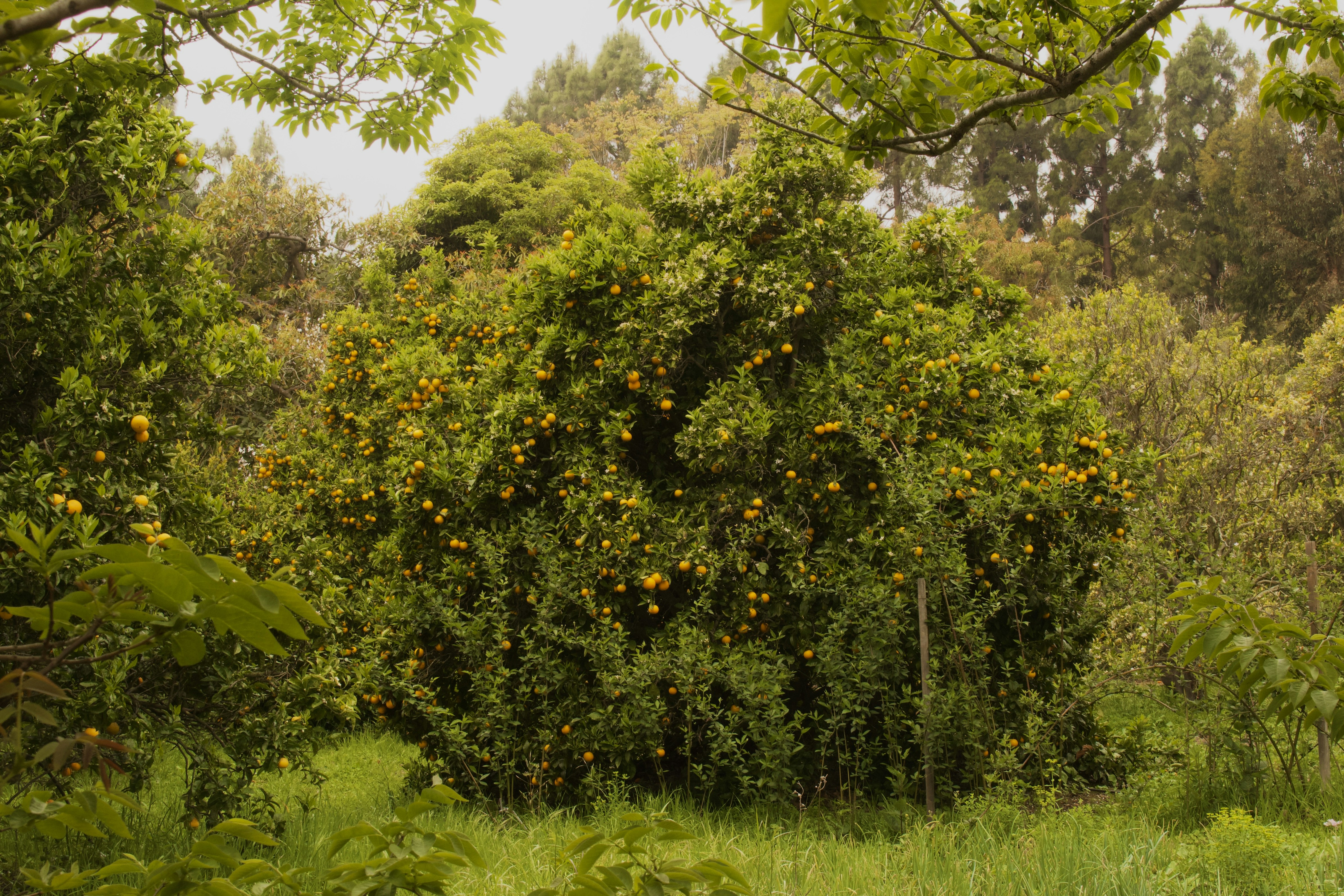 Photo by skyehdesign