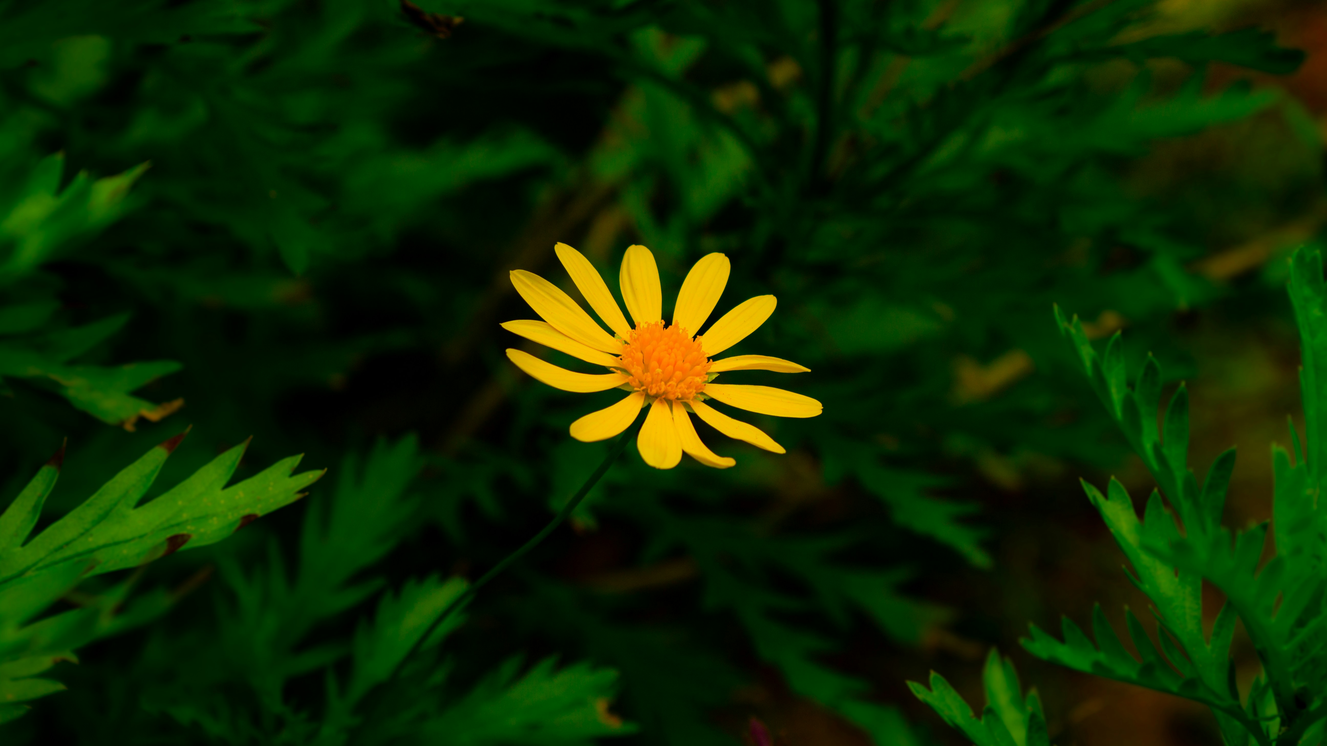 Photo by behind__cover