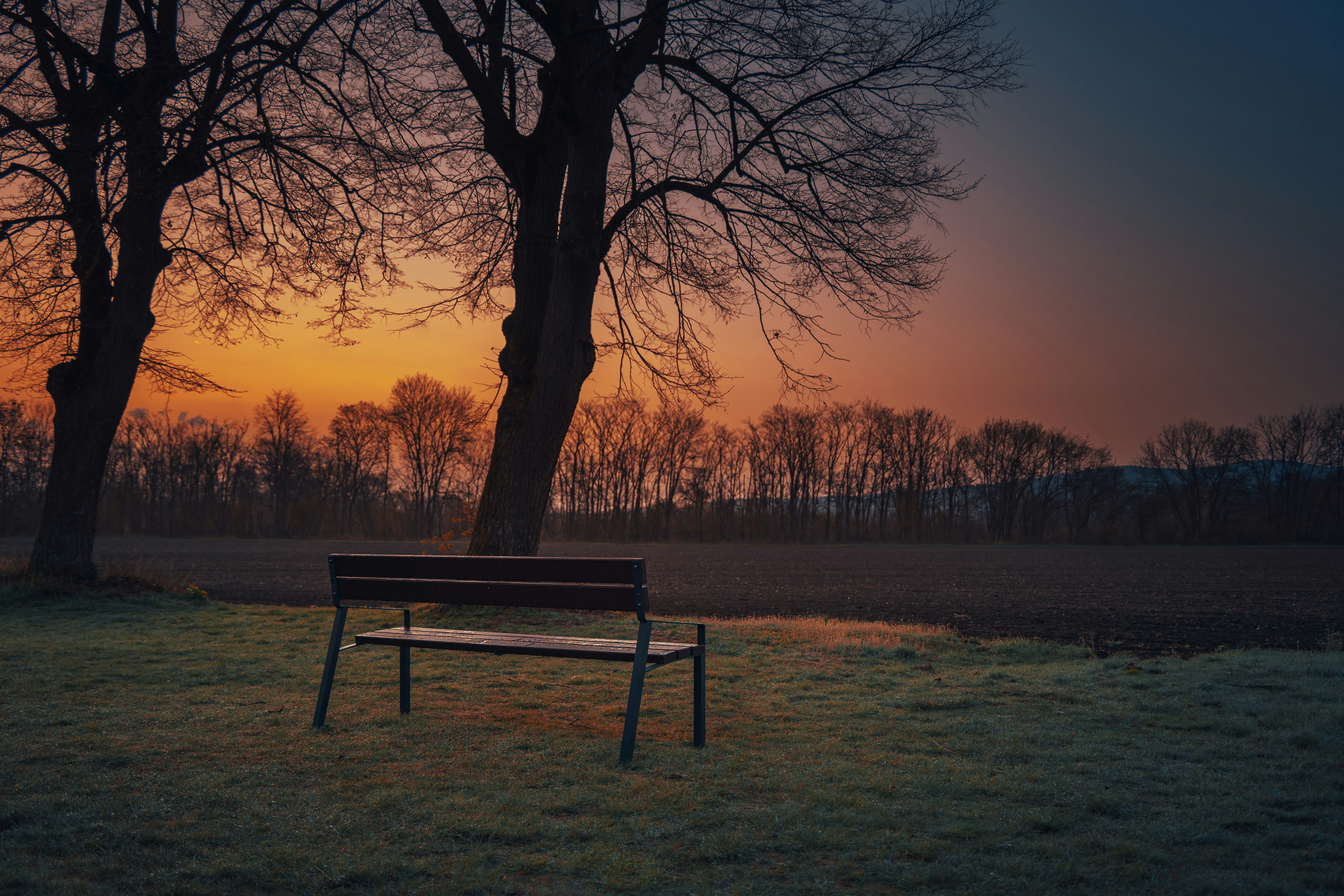 An empty park bench in the evening, soft sunset light, calm and emotional atmosphere