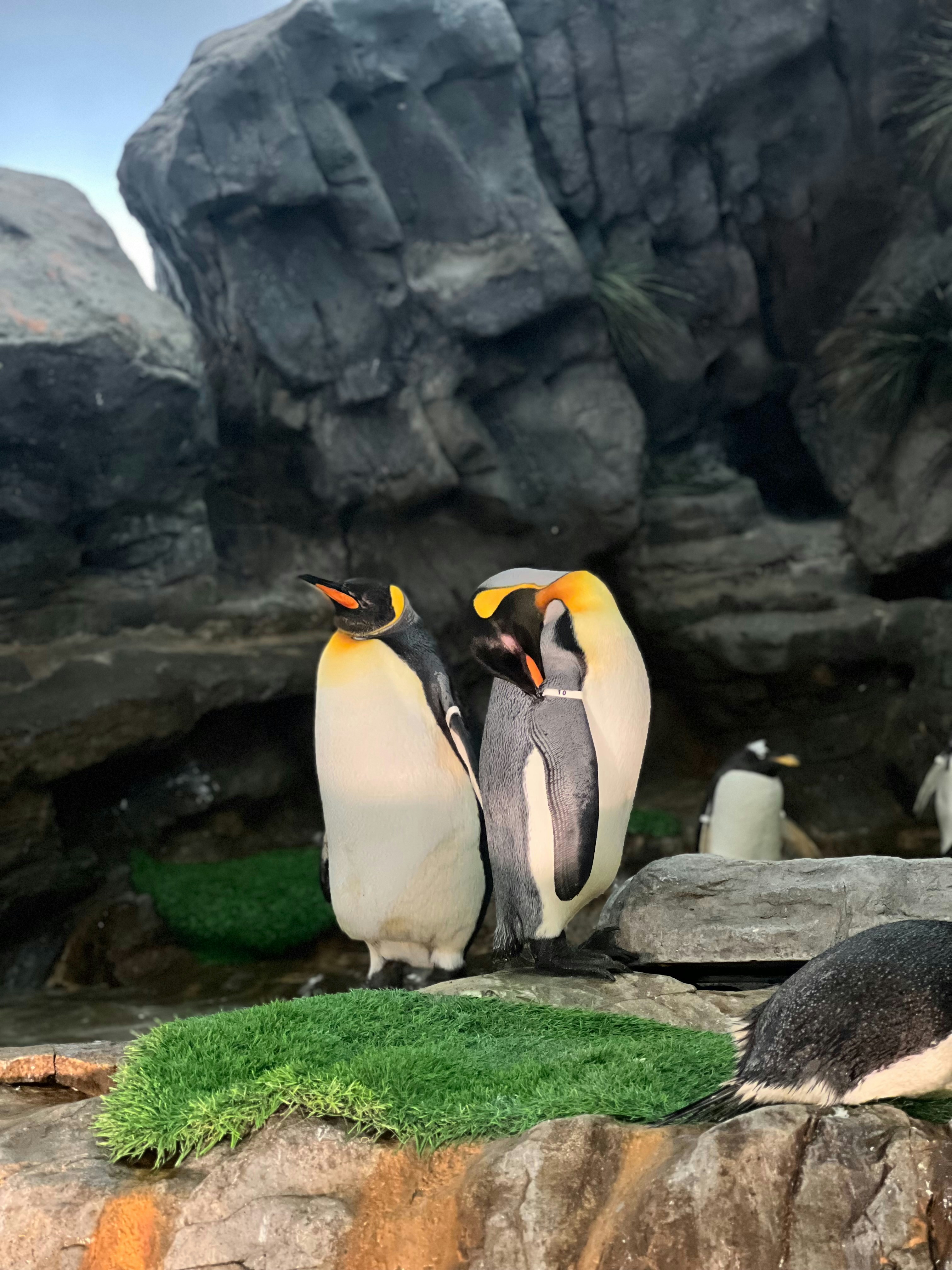 Photo by ayushh_here