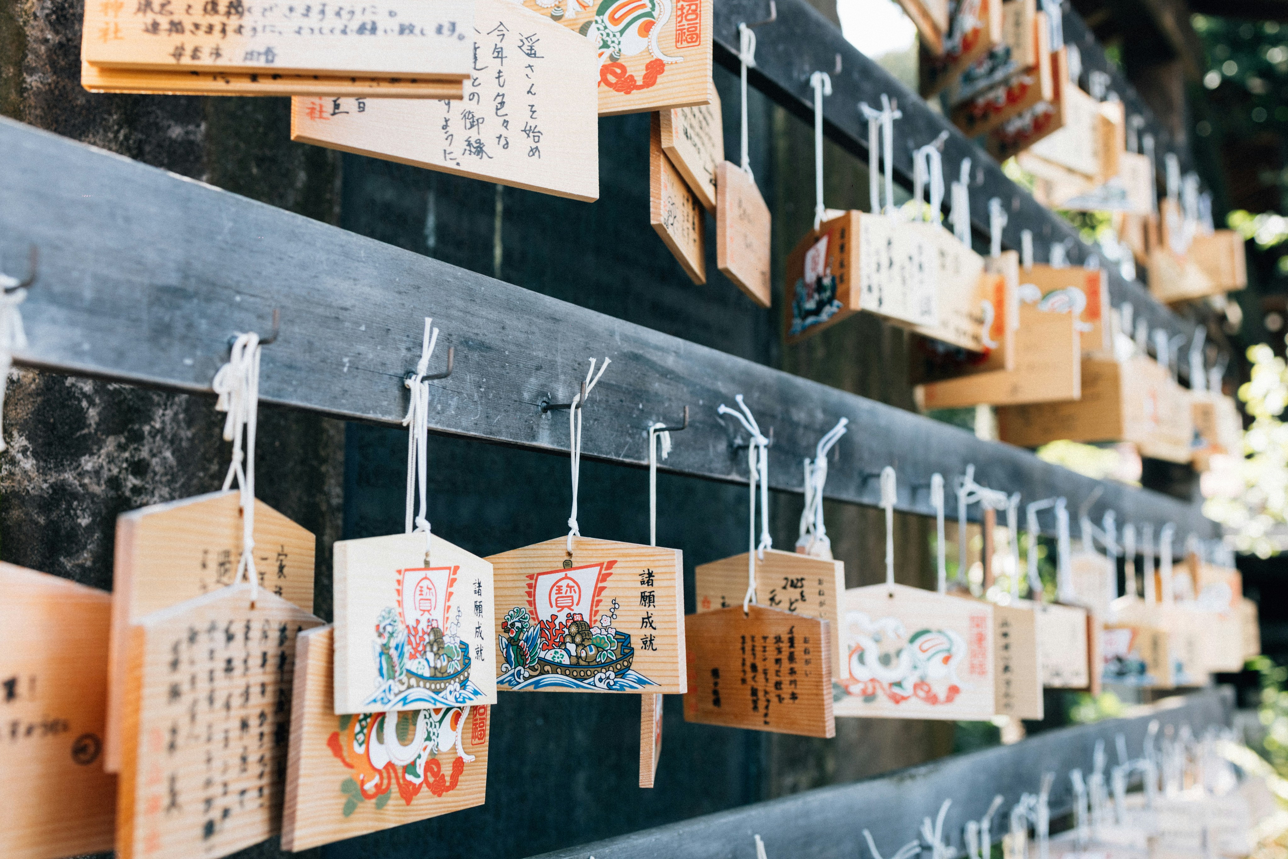 Photo by tsuyoshikozu