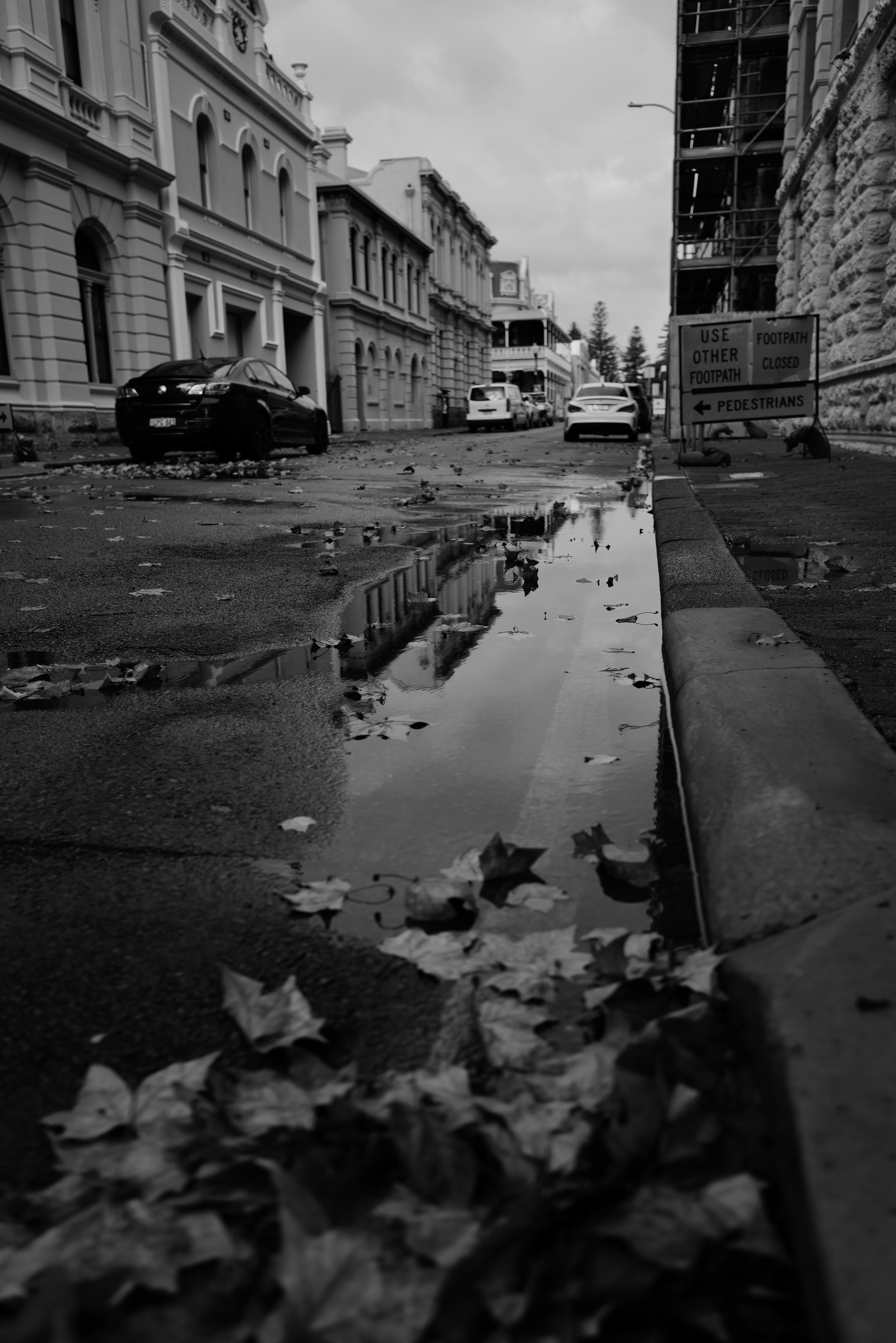 Rainy street with puddles and fallen leaves