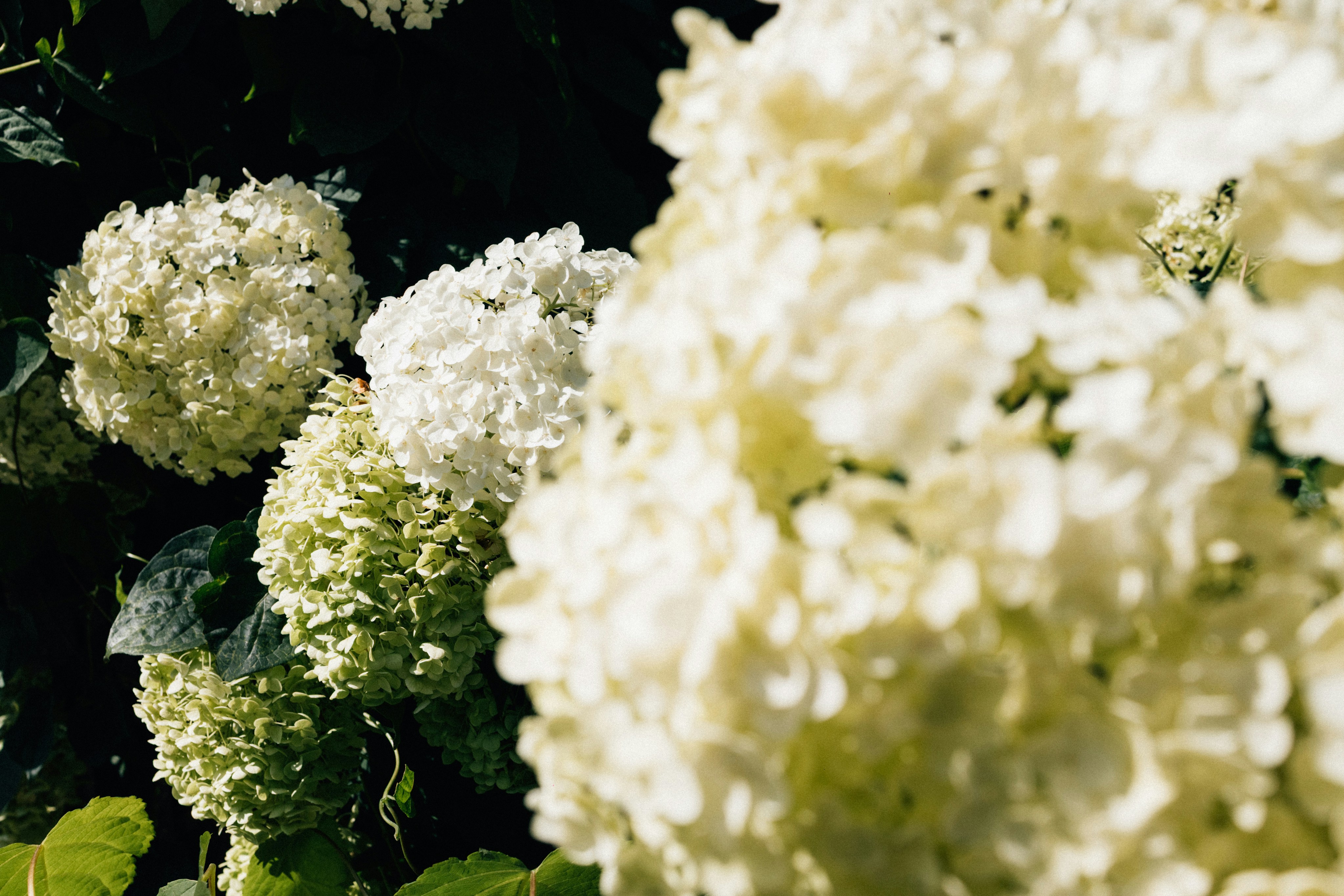 Photo by tsuyoshikozu