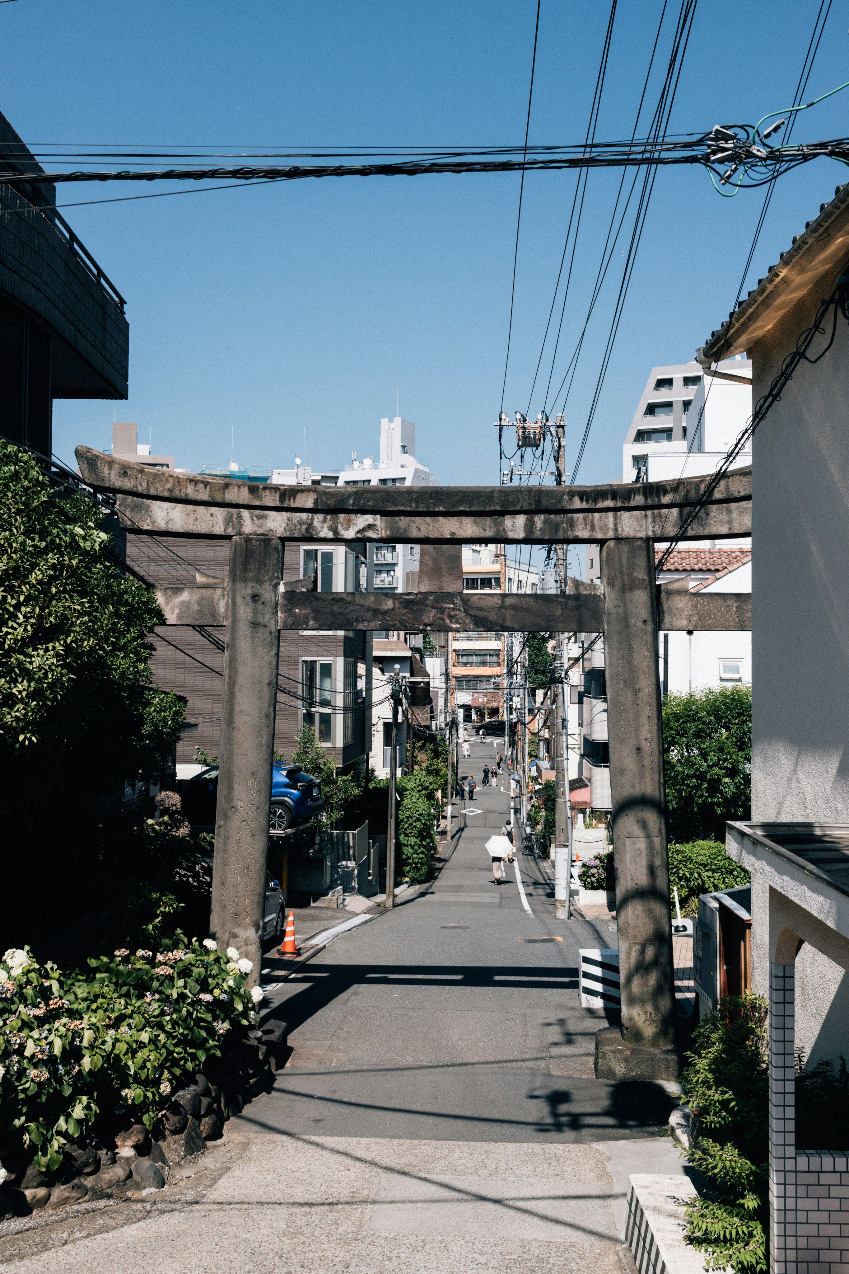 Photo by tsuyoshikozu