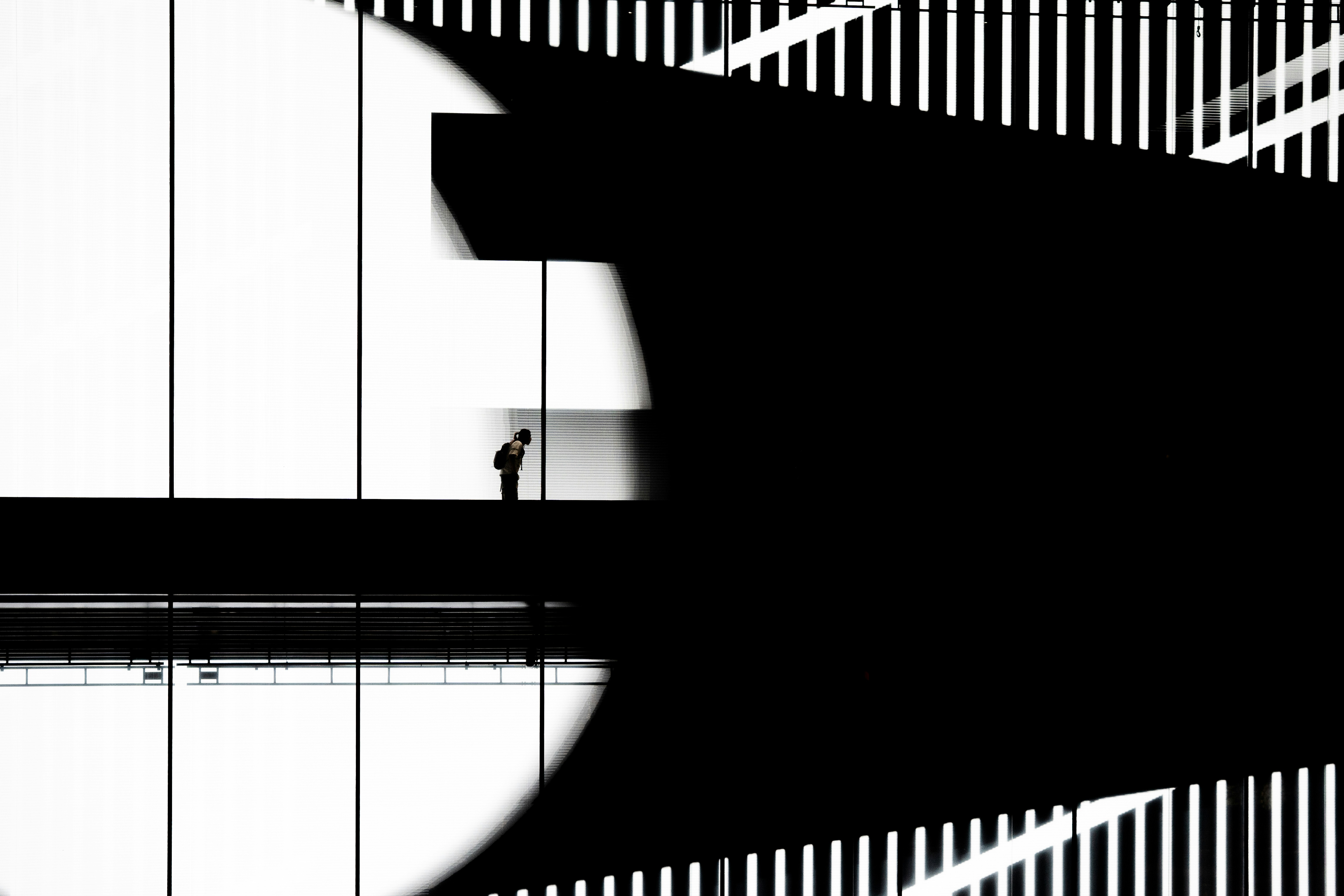 What To Prepare For From An Expert Junk Removal Service: A Comprehensive Detailed Introduction