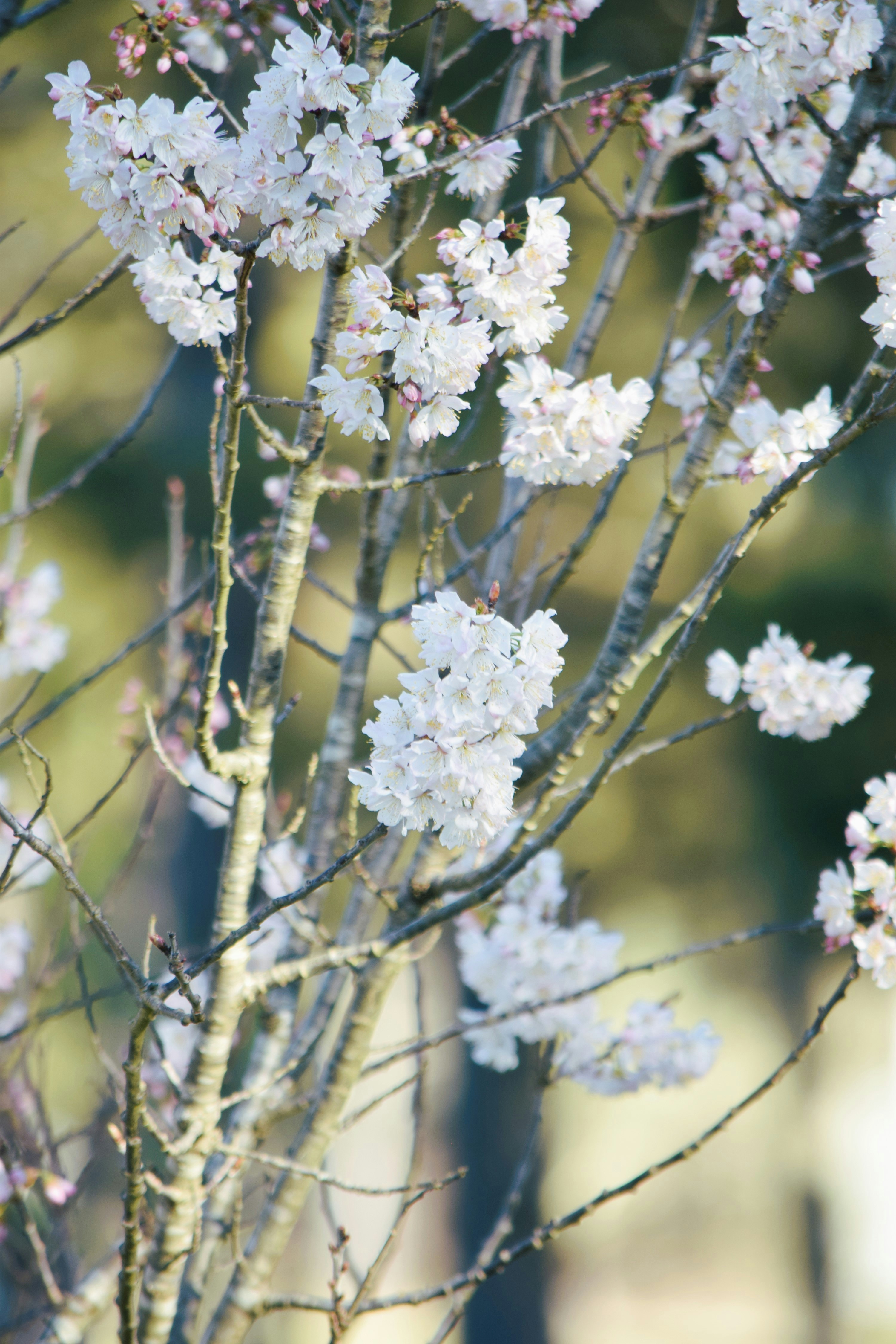 Photo by ch_photography