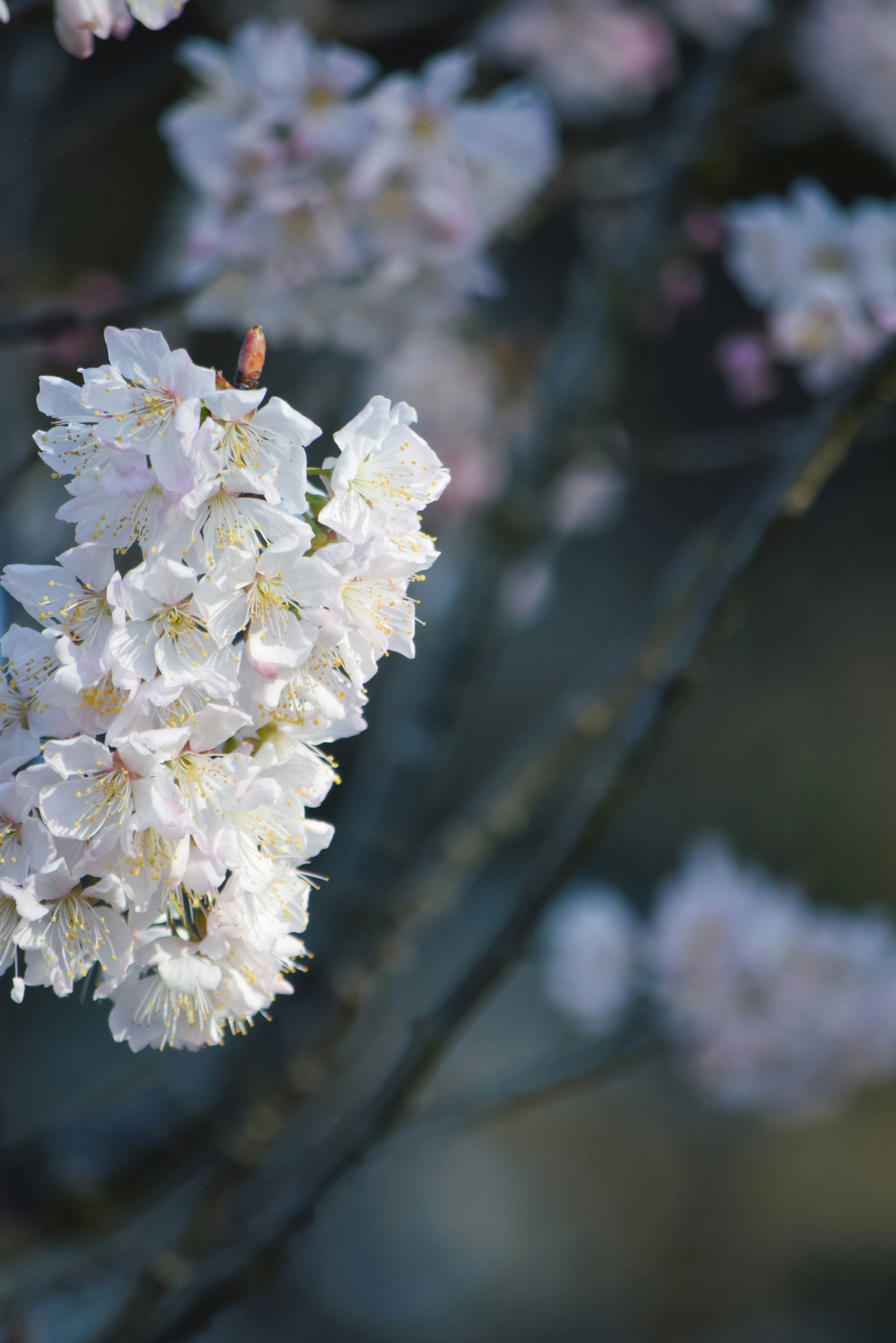 Photo by ch_photography