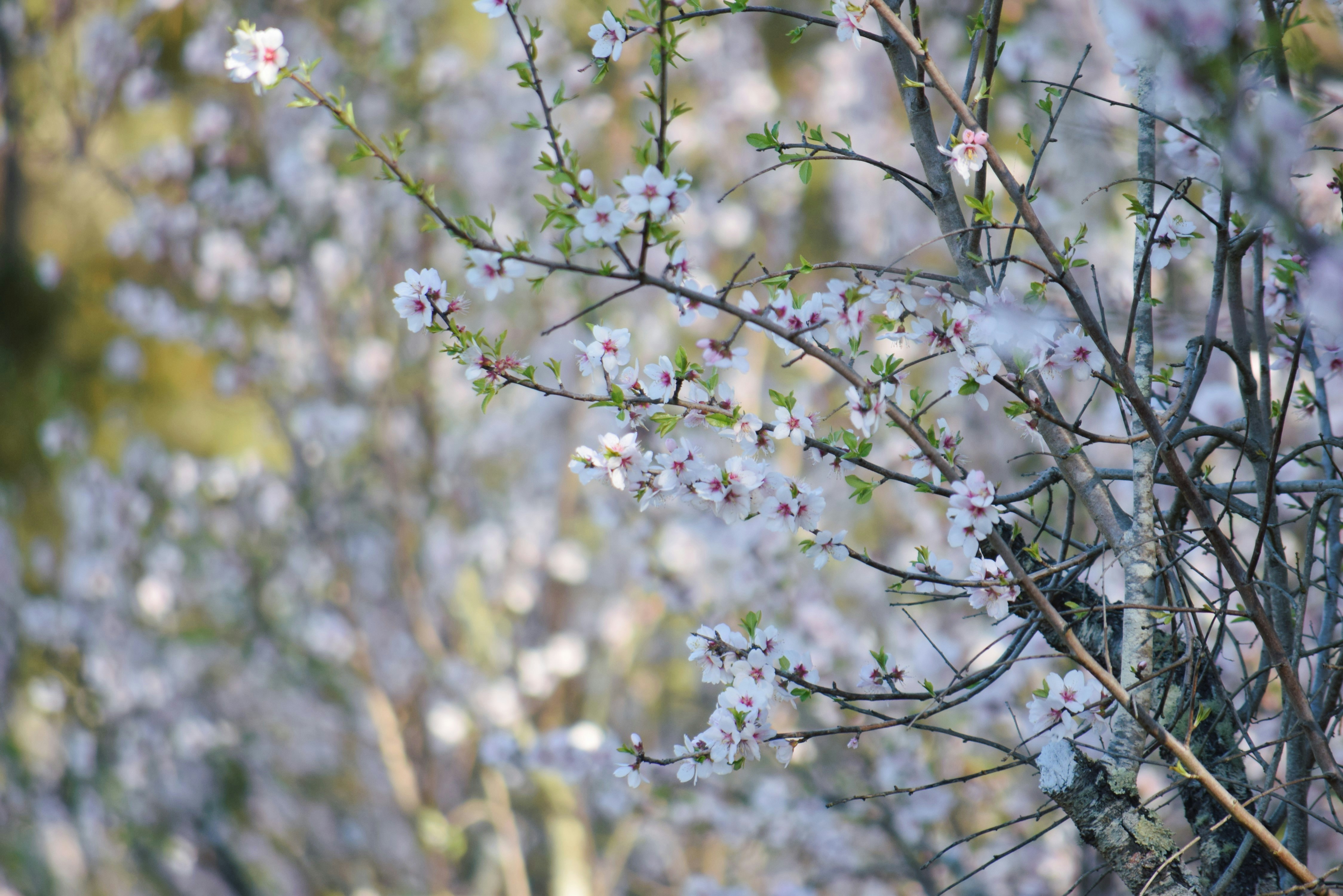 Photo by ch_photography