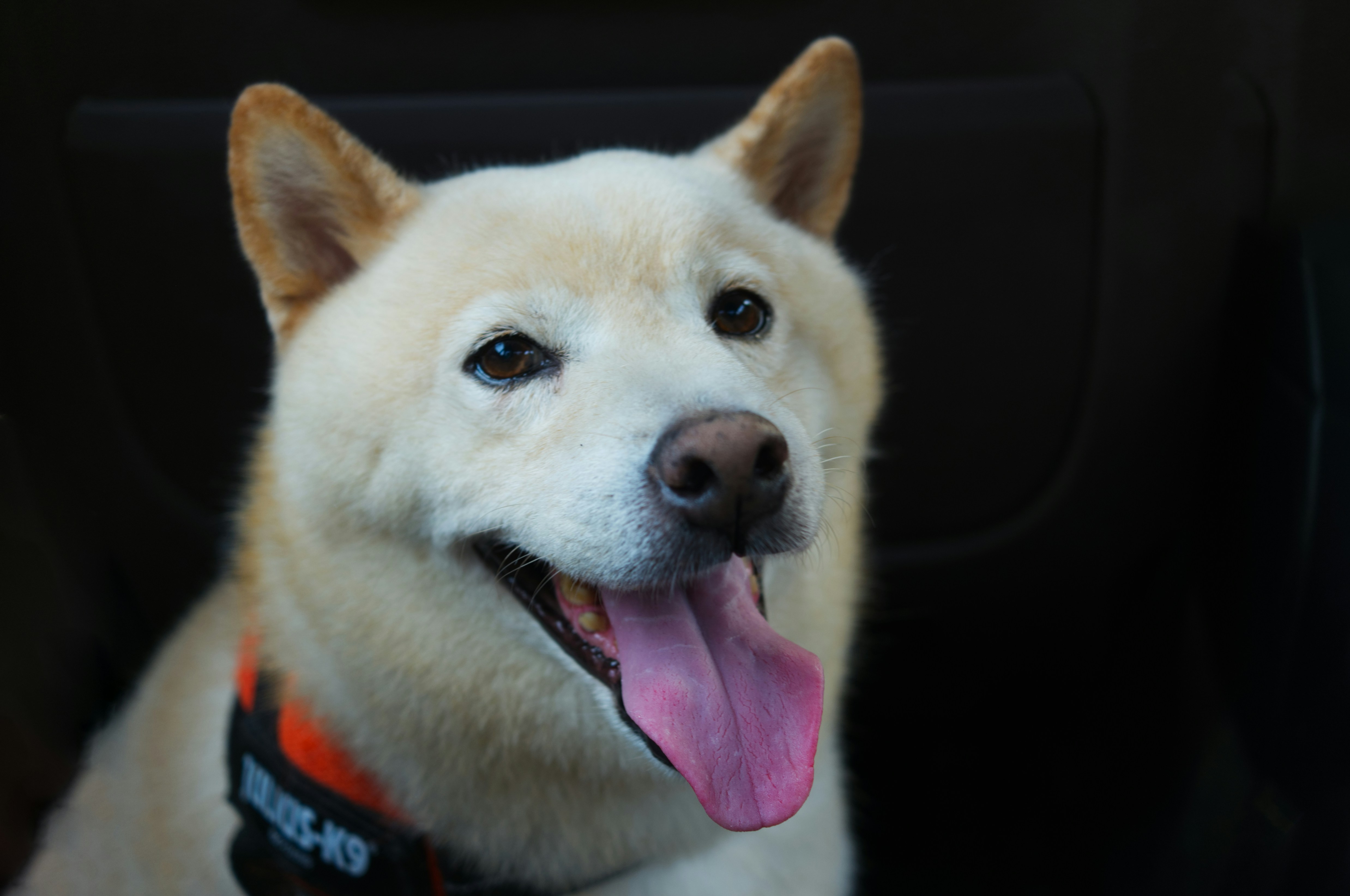 Photo by oliverhu711