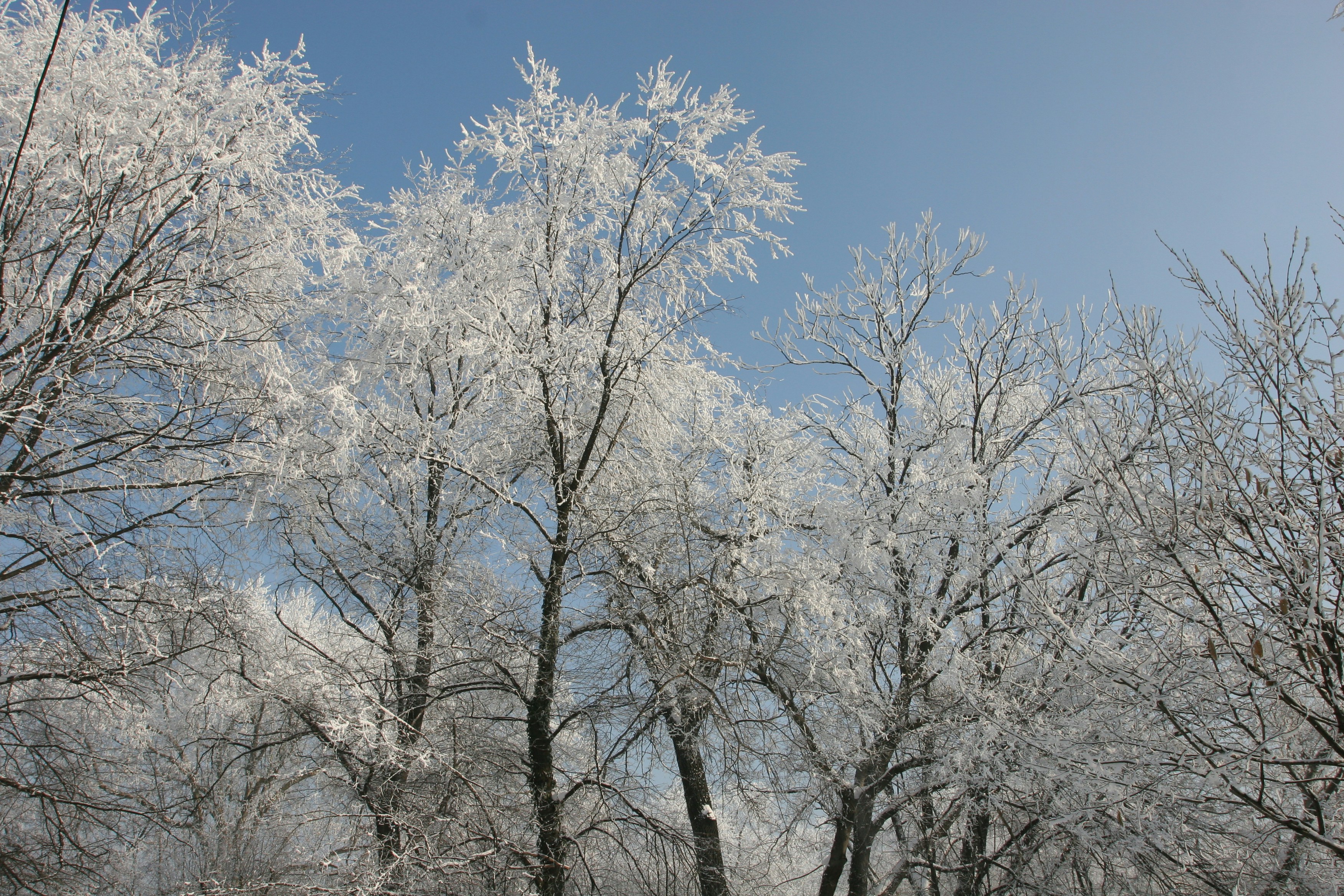 Photo by video_production_sulyok