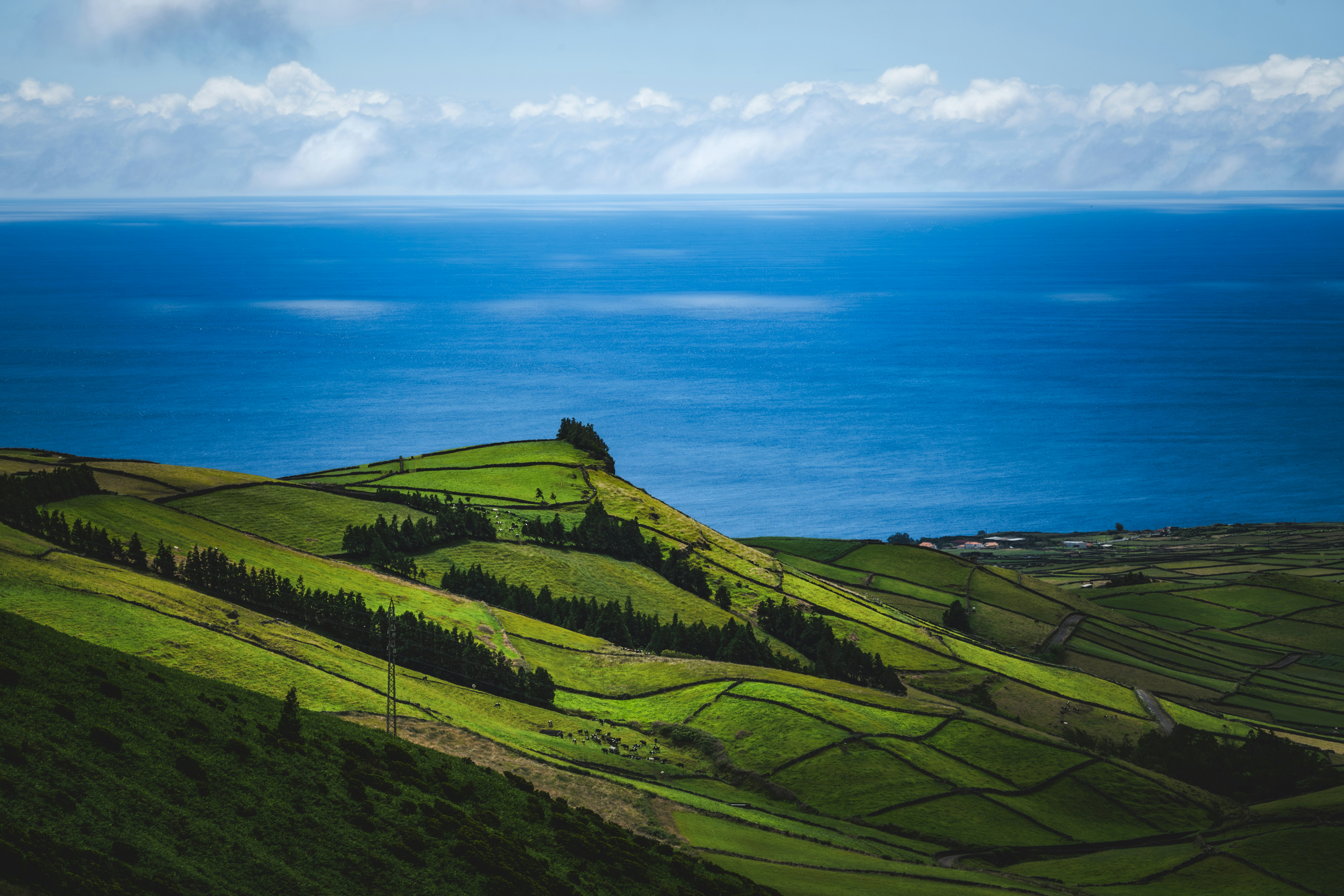 Photo by francesco_ungaro