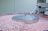 Small pink pills tumbling on a machine surface