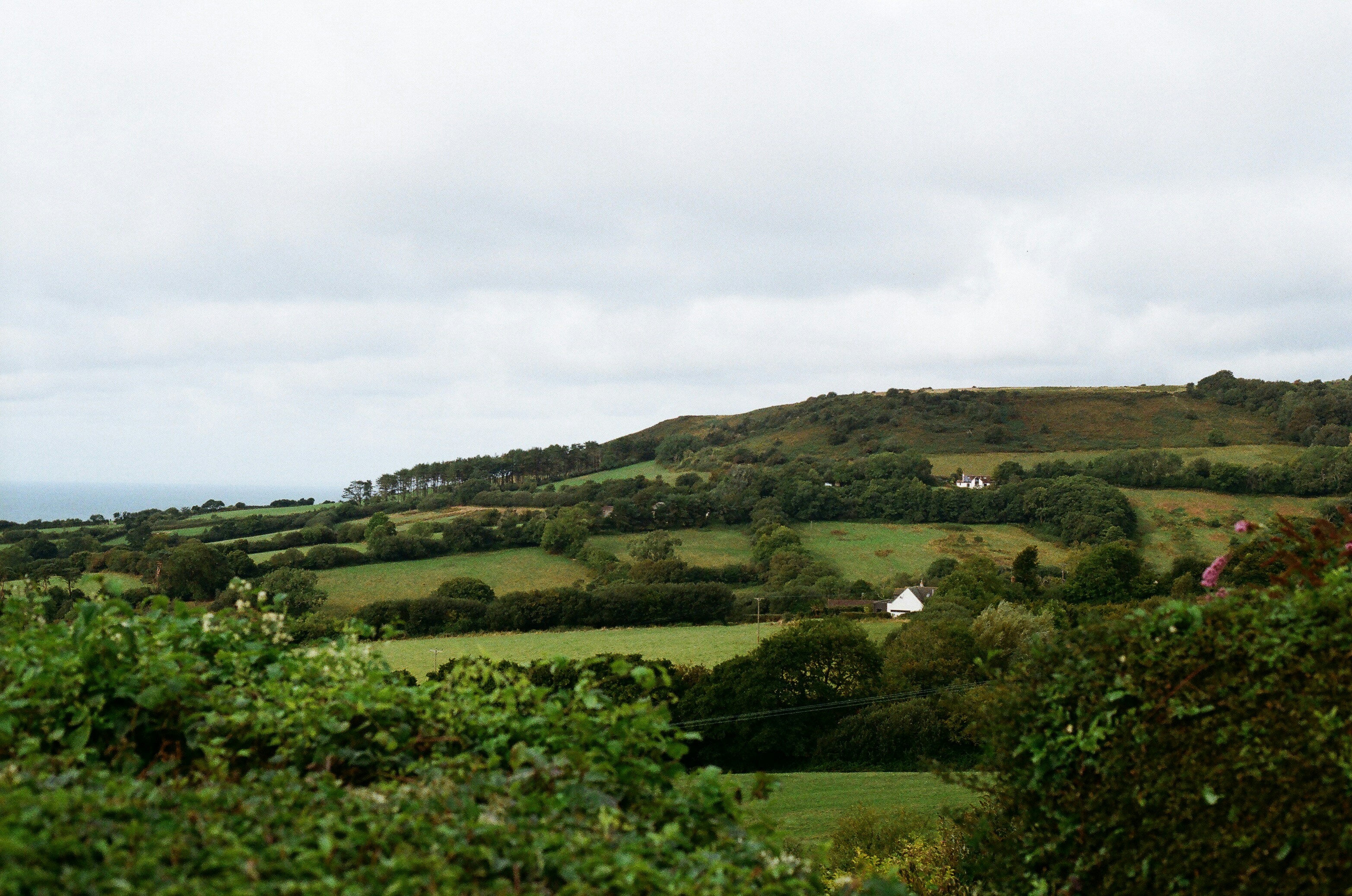 About Leinster Insider