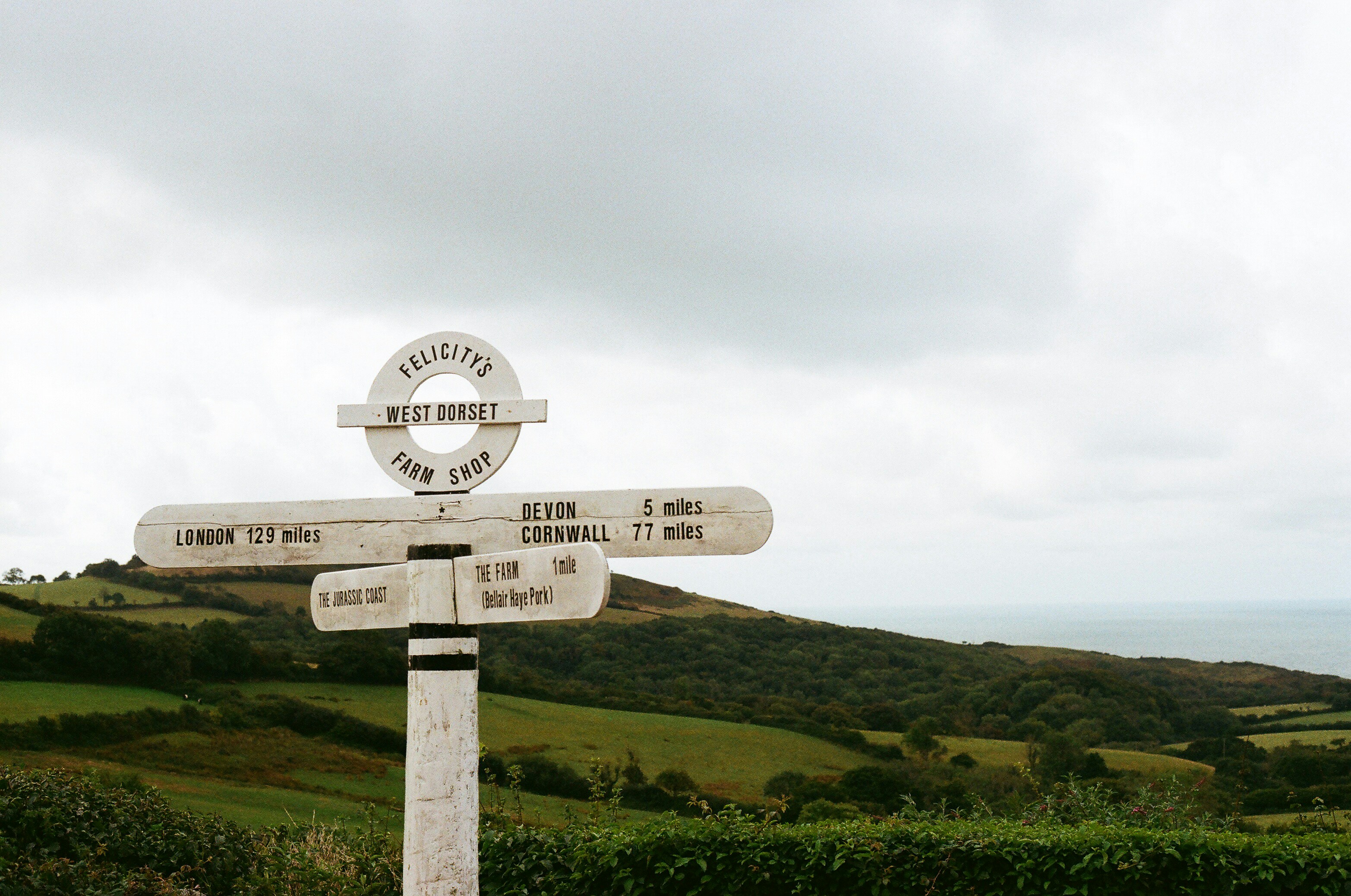 Directional signpost in a green countryside landscape photo – Free Film ...