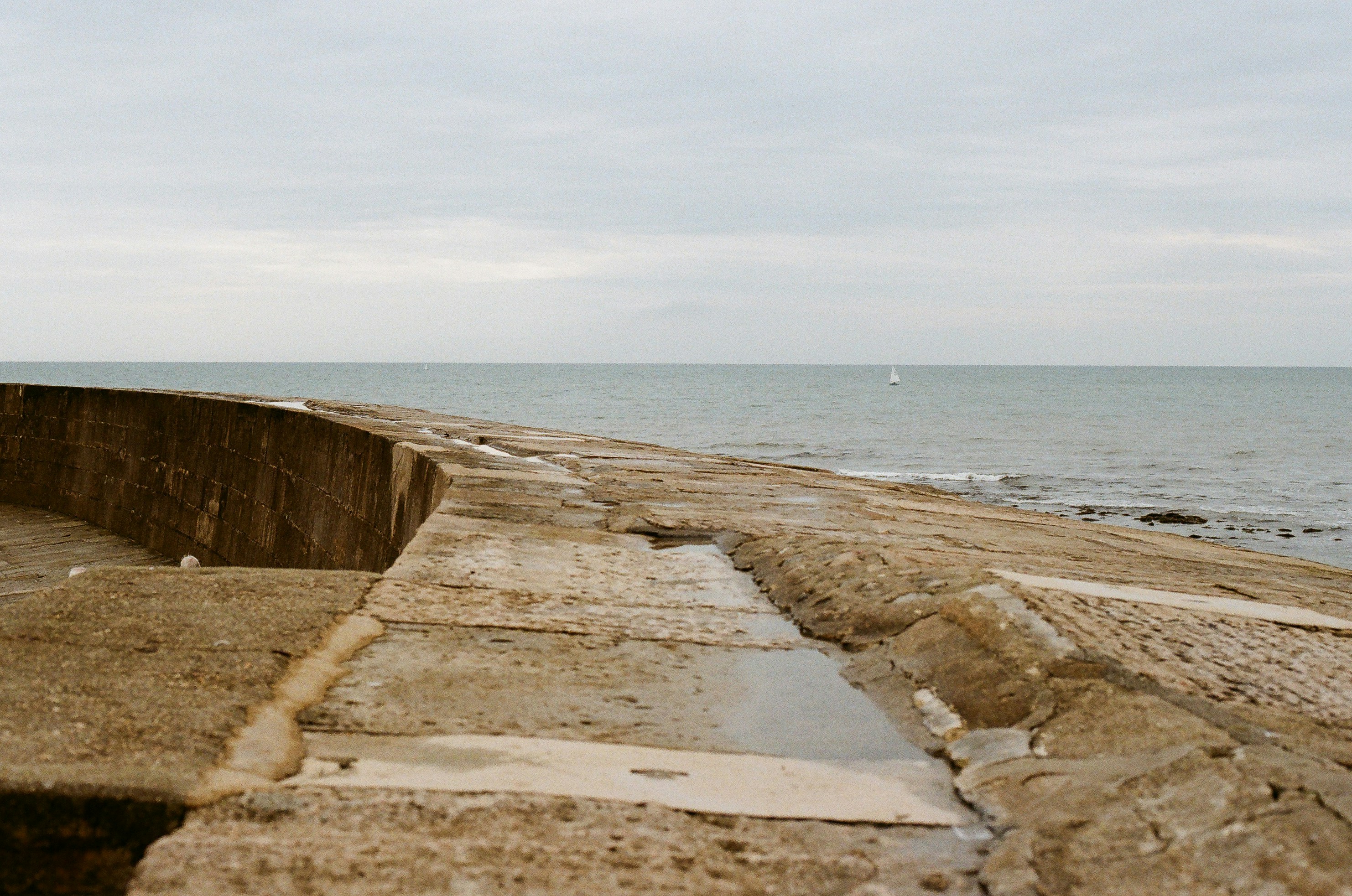 Photo by tanyabarrow