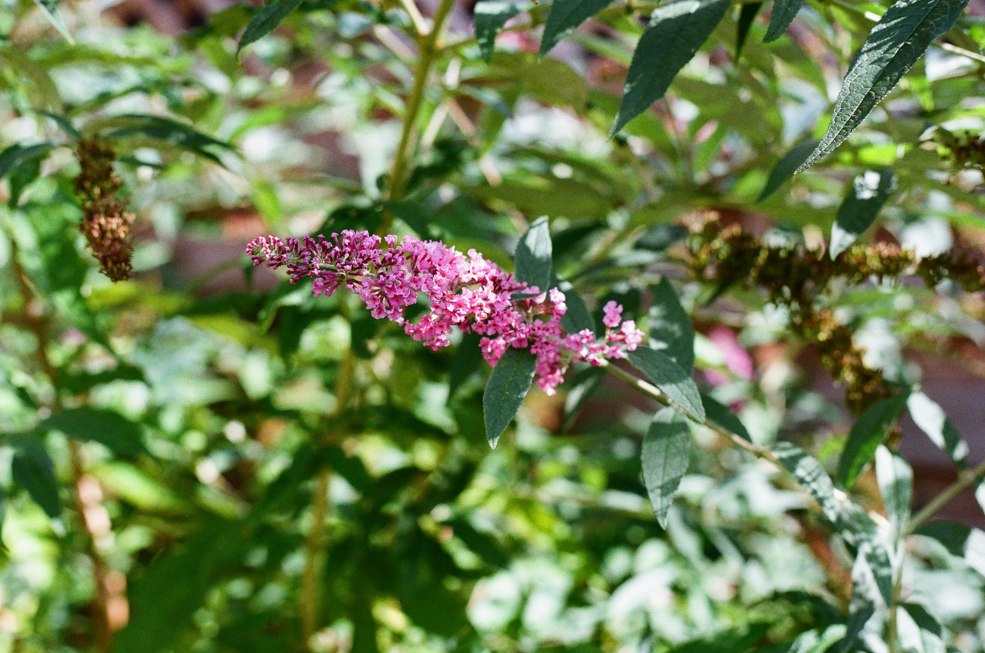 Photo by tanyabarrow