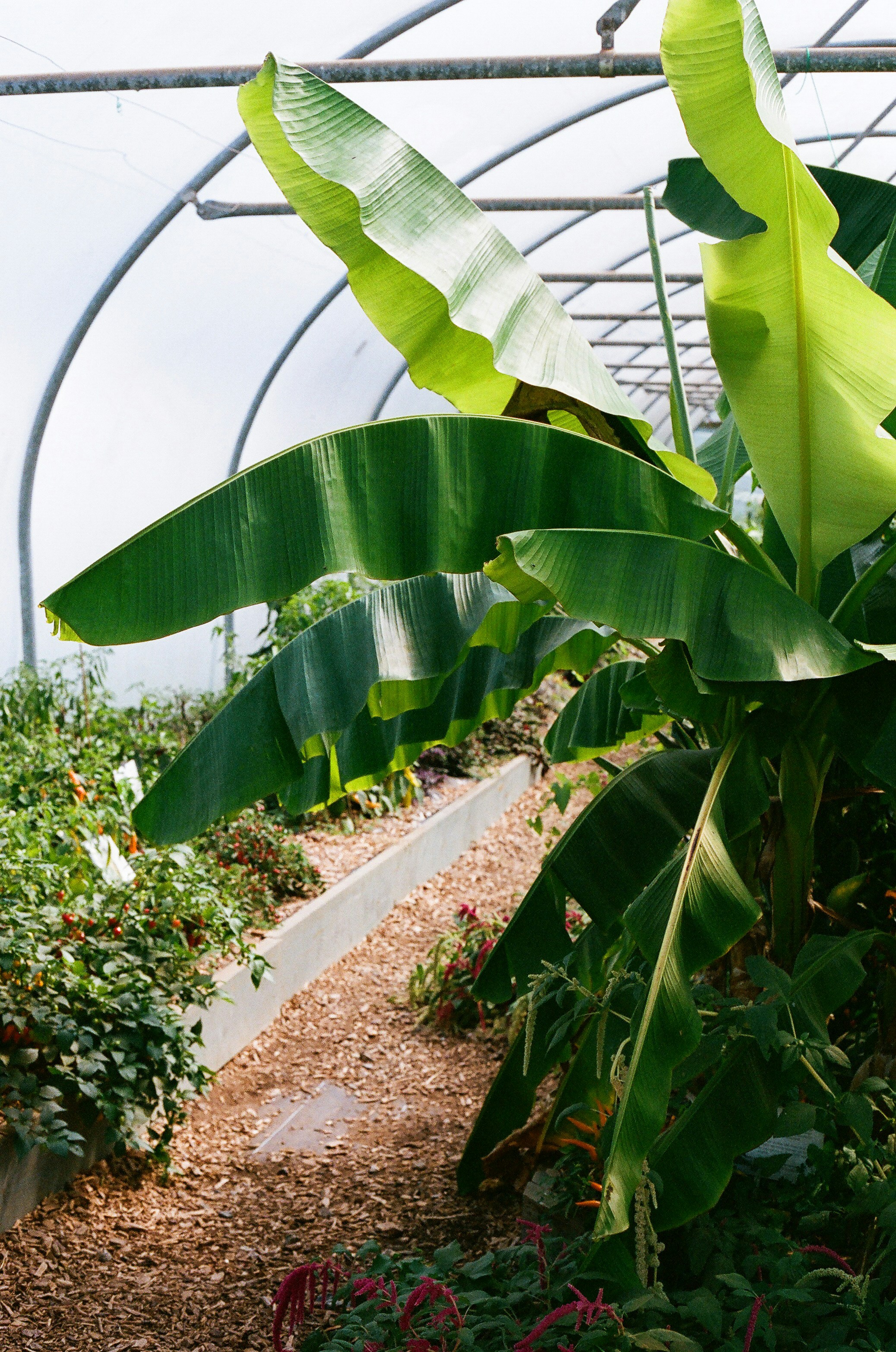 Photo by tanyabarrow