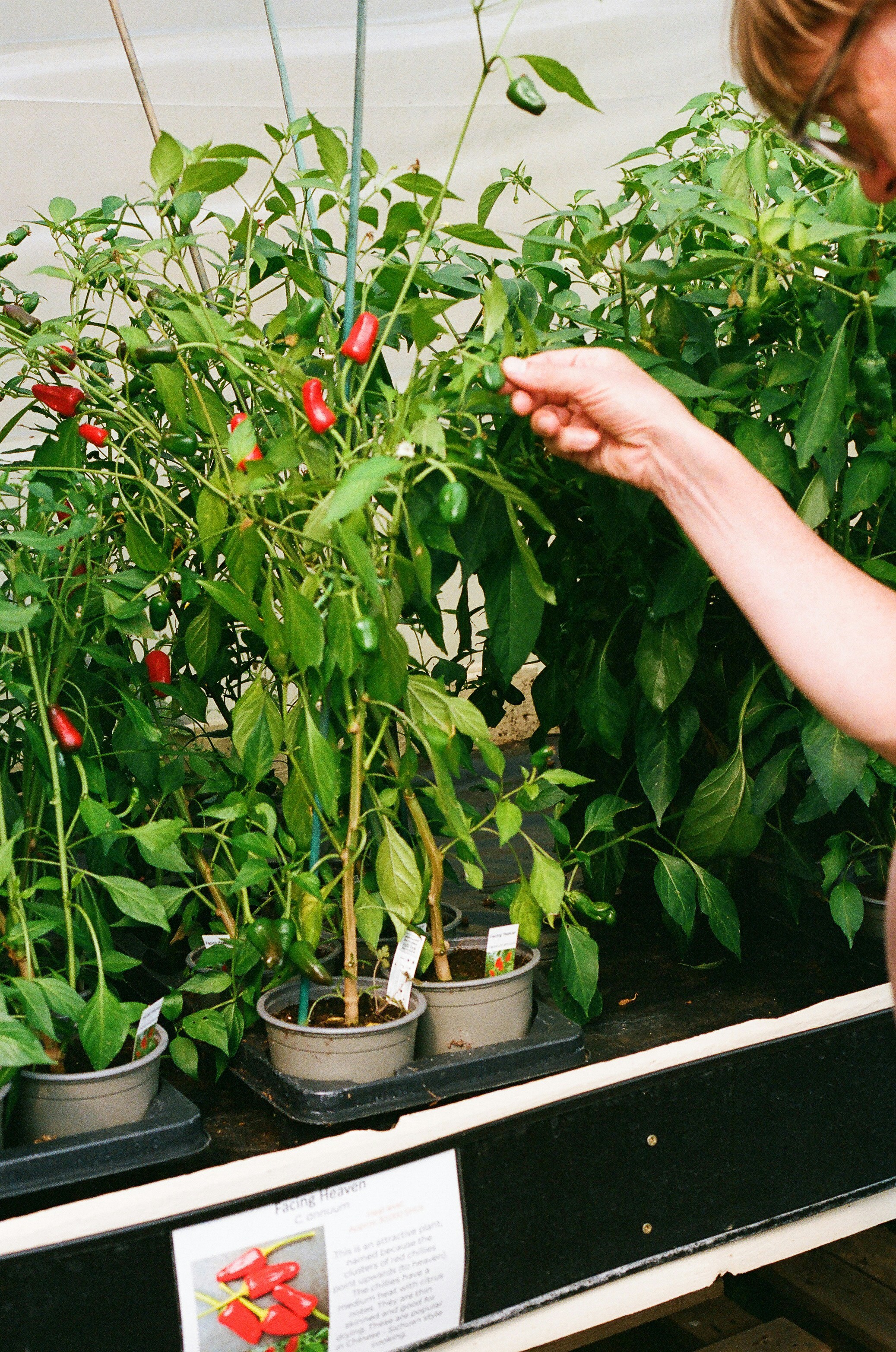 Photo by tanyabarrow