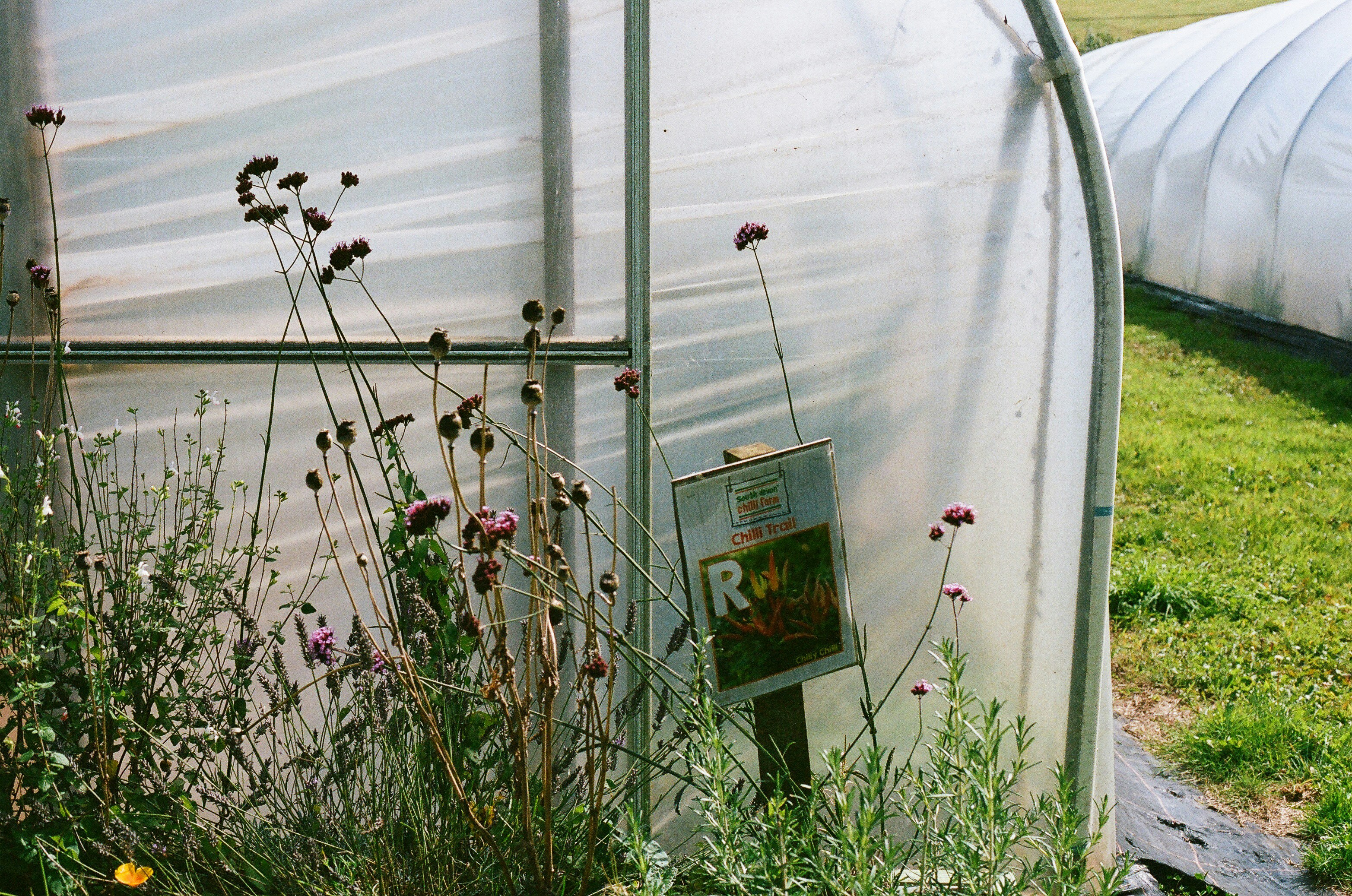 Photo by tanyabarrow