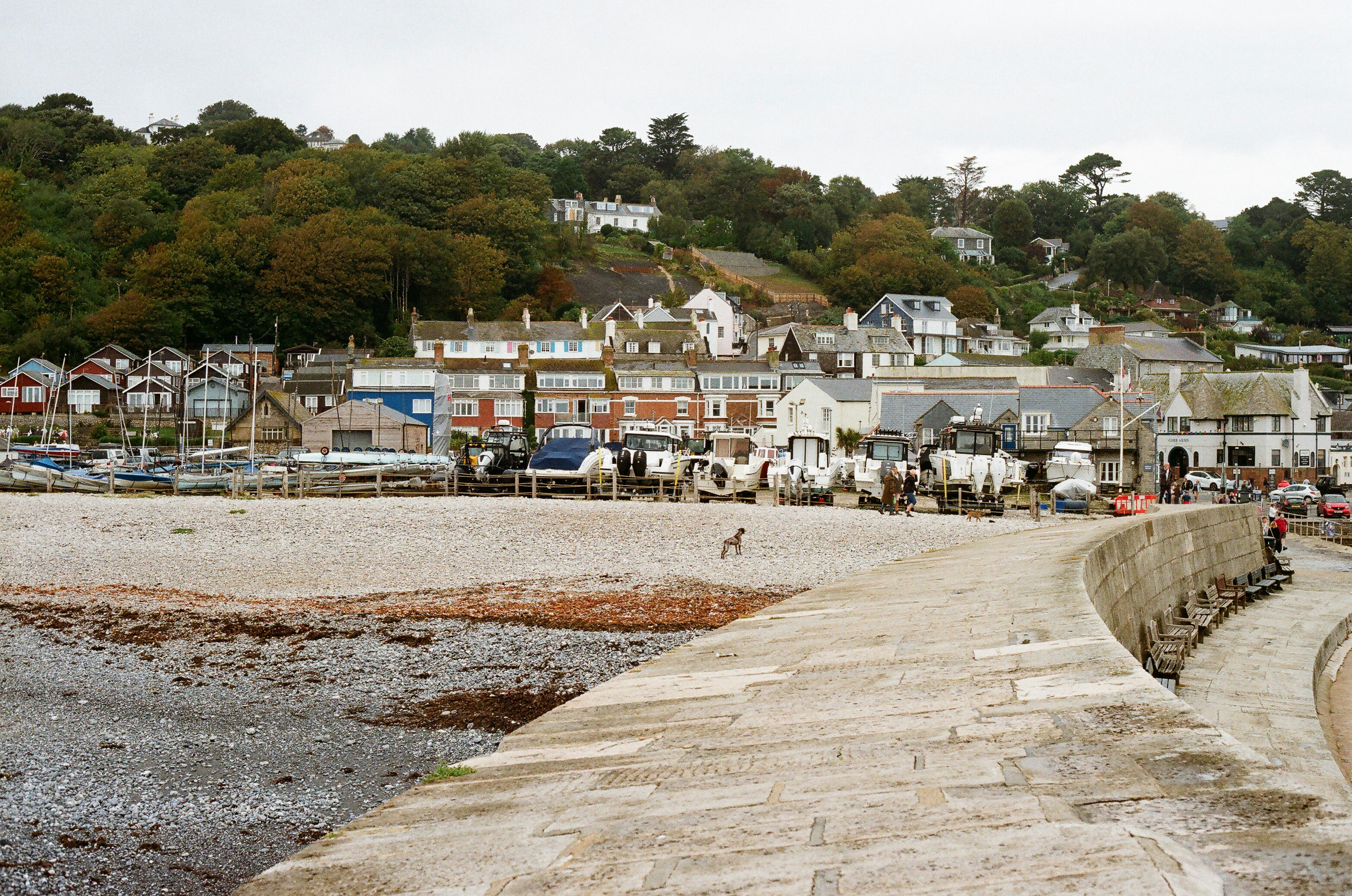 Photo by tanyabarrow