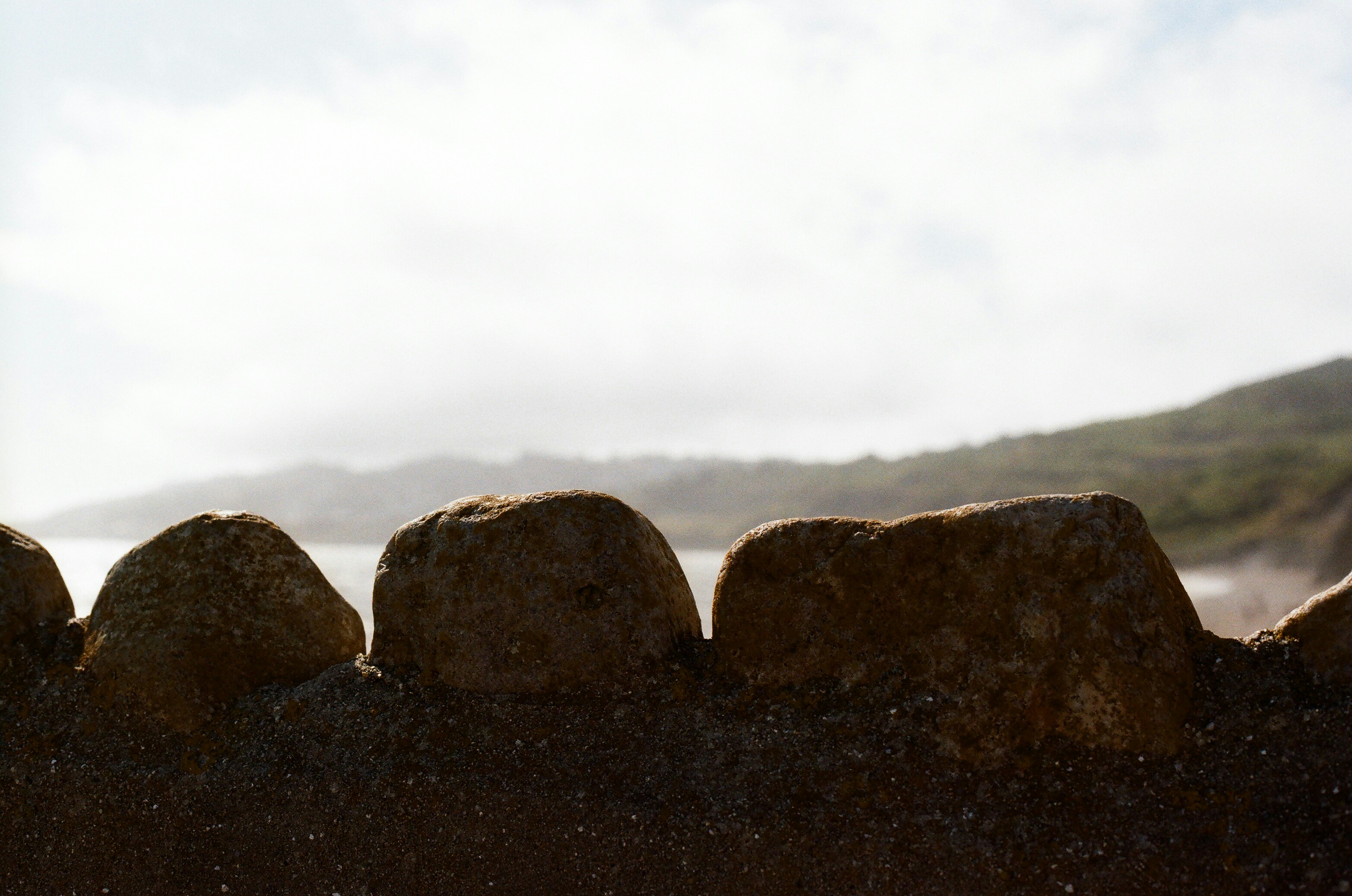 Photo by tanyabarrow