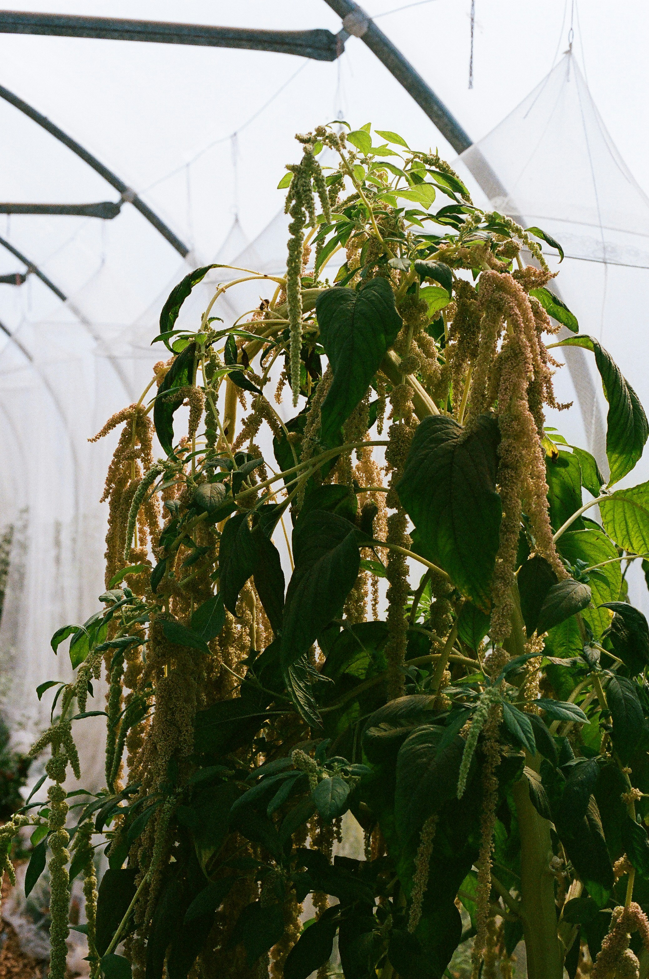 Photo by tanyabarrow