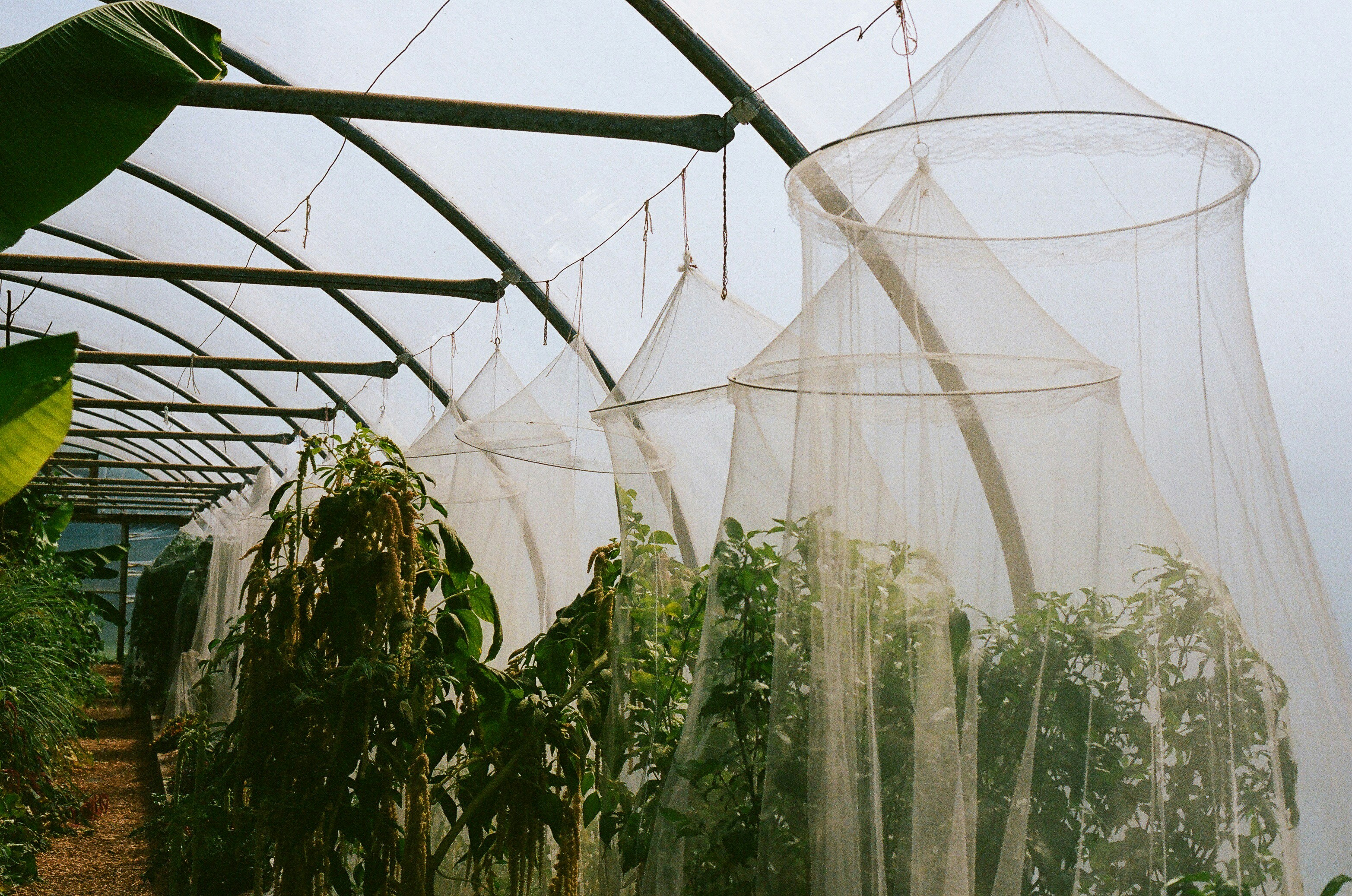 Photo by tanyabarrow