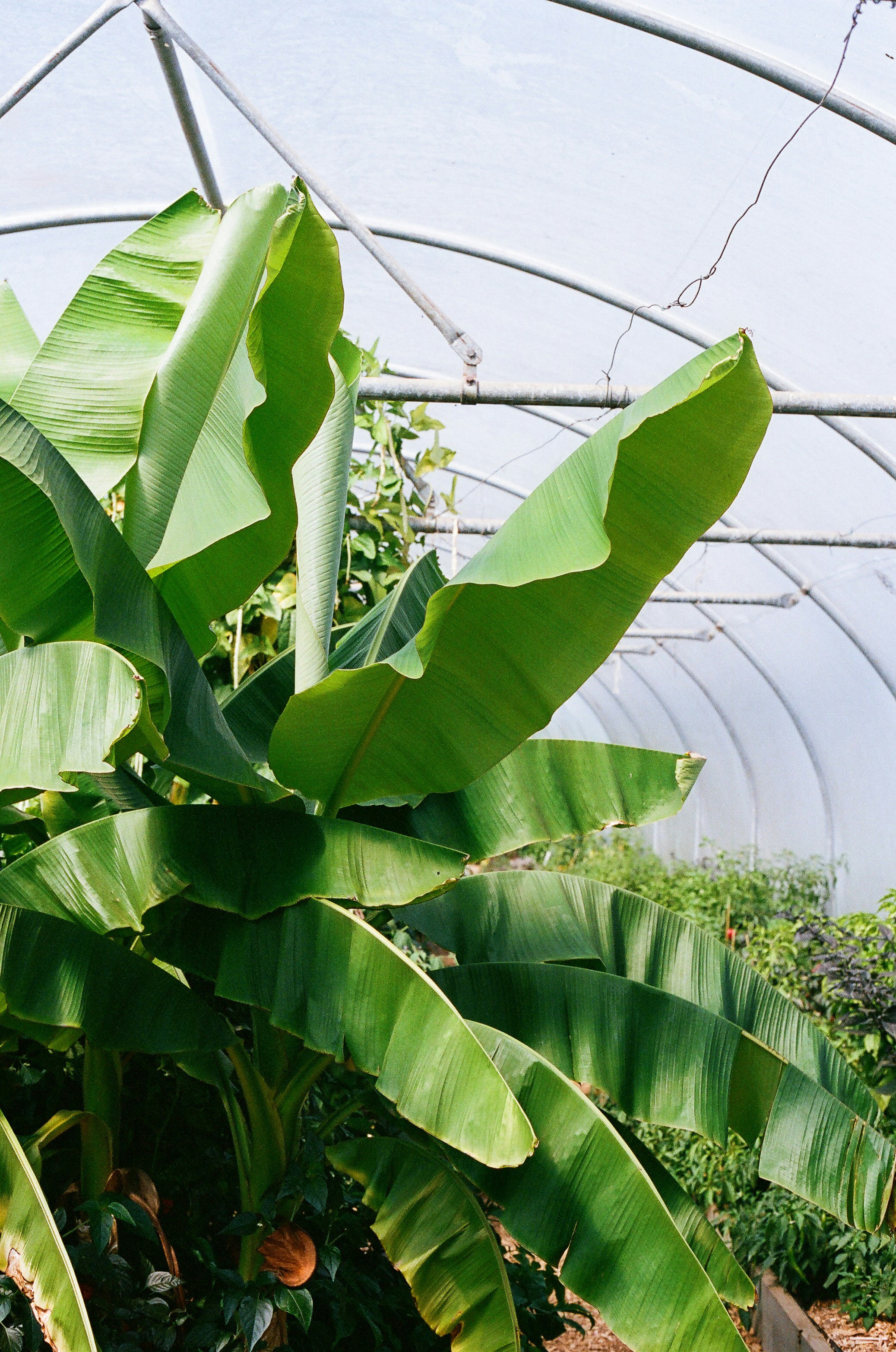 Photo by tanyabarrow