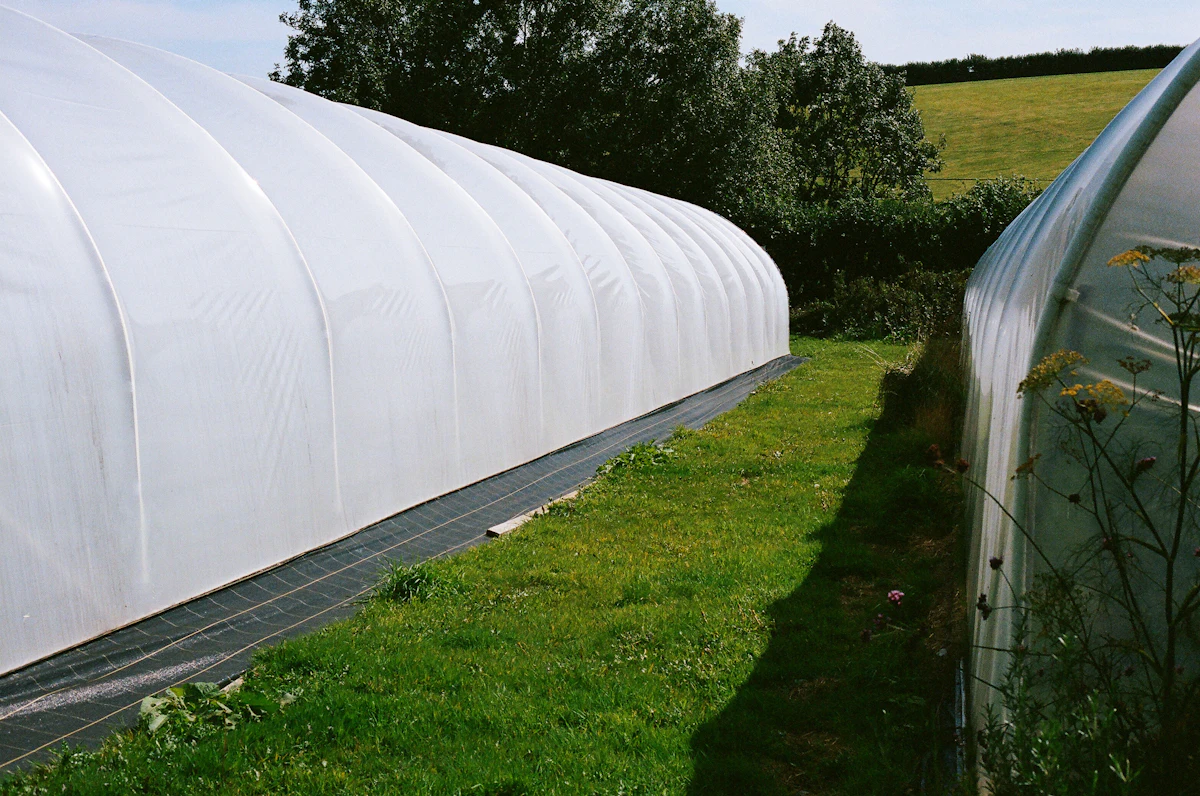 Construction of greenhouses in three regions