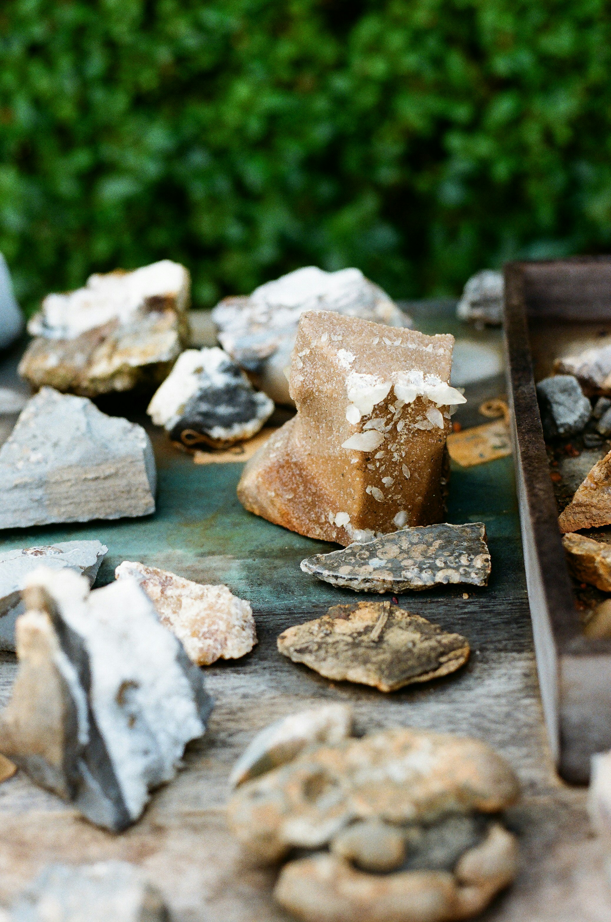 Photo by tanyabarrow