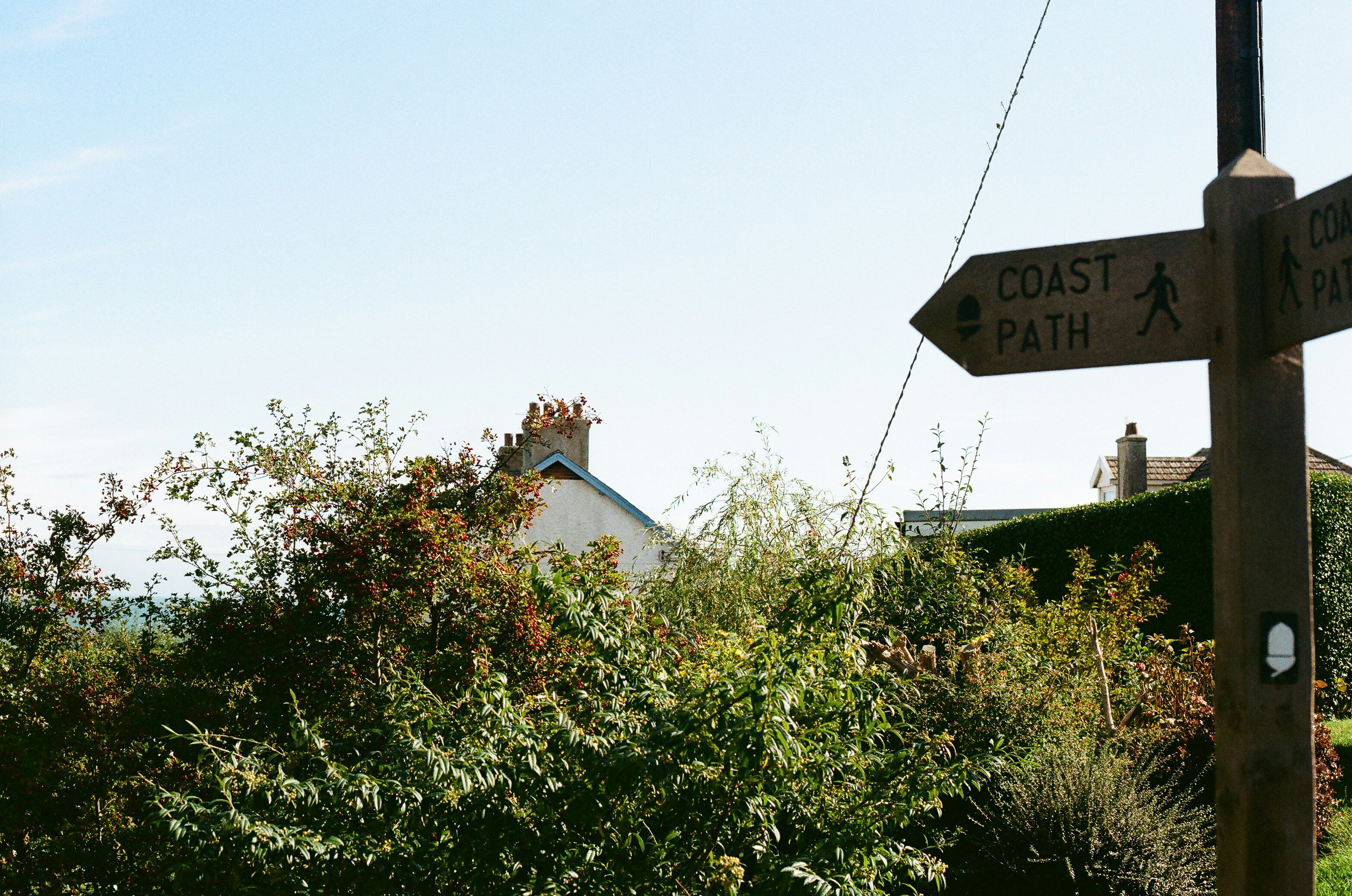 Photo by tanyabarrow