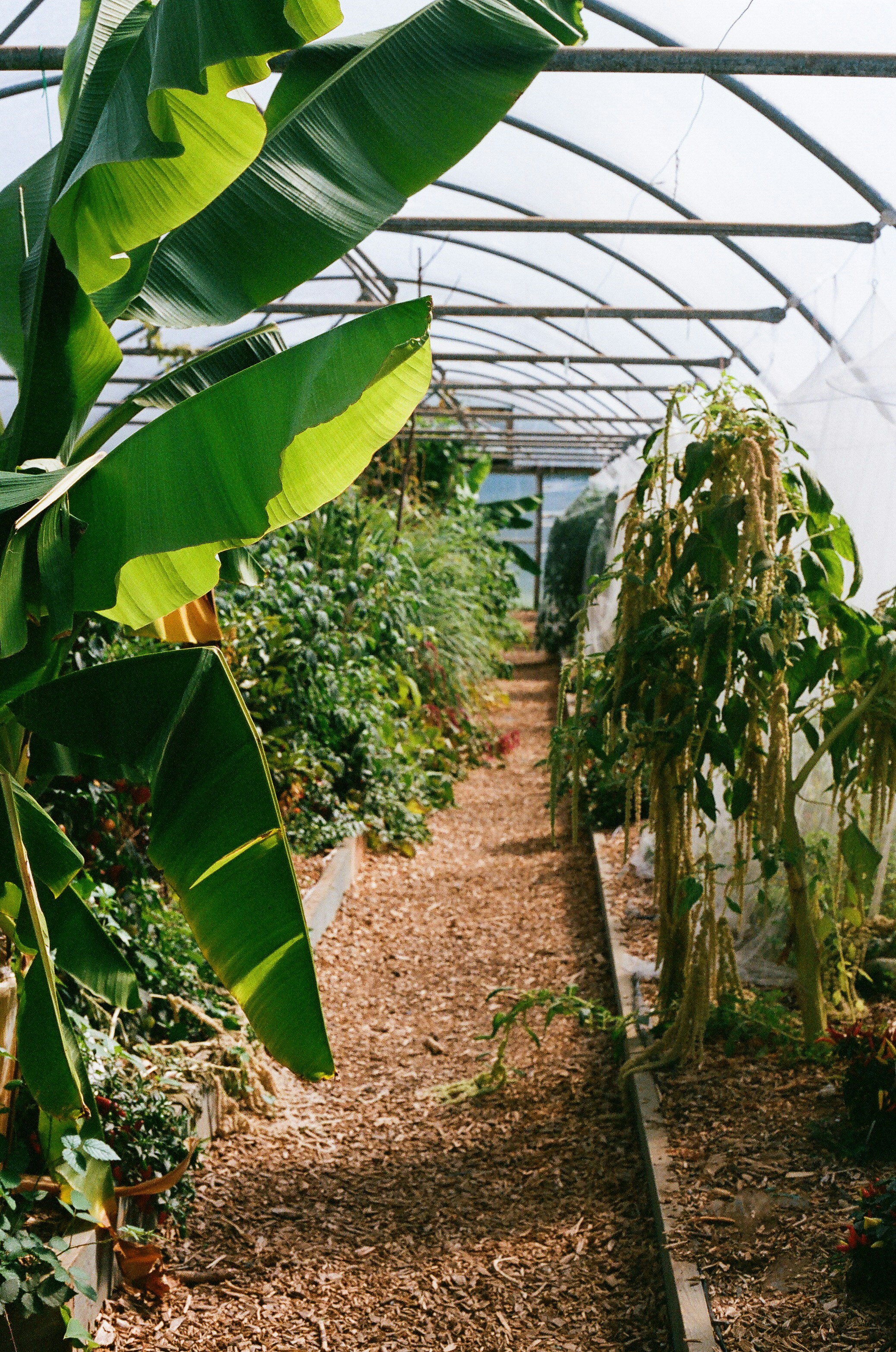 Photo by tanyabarrow