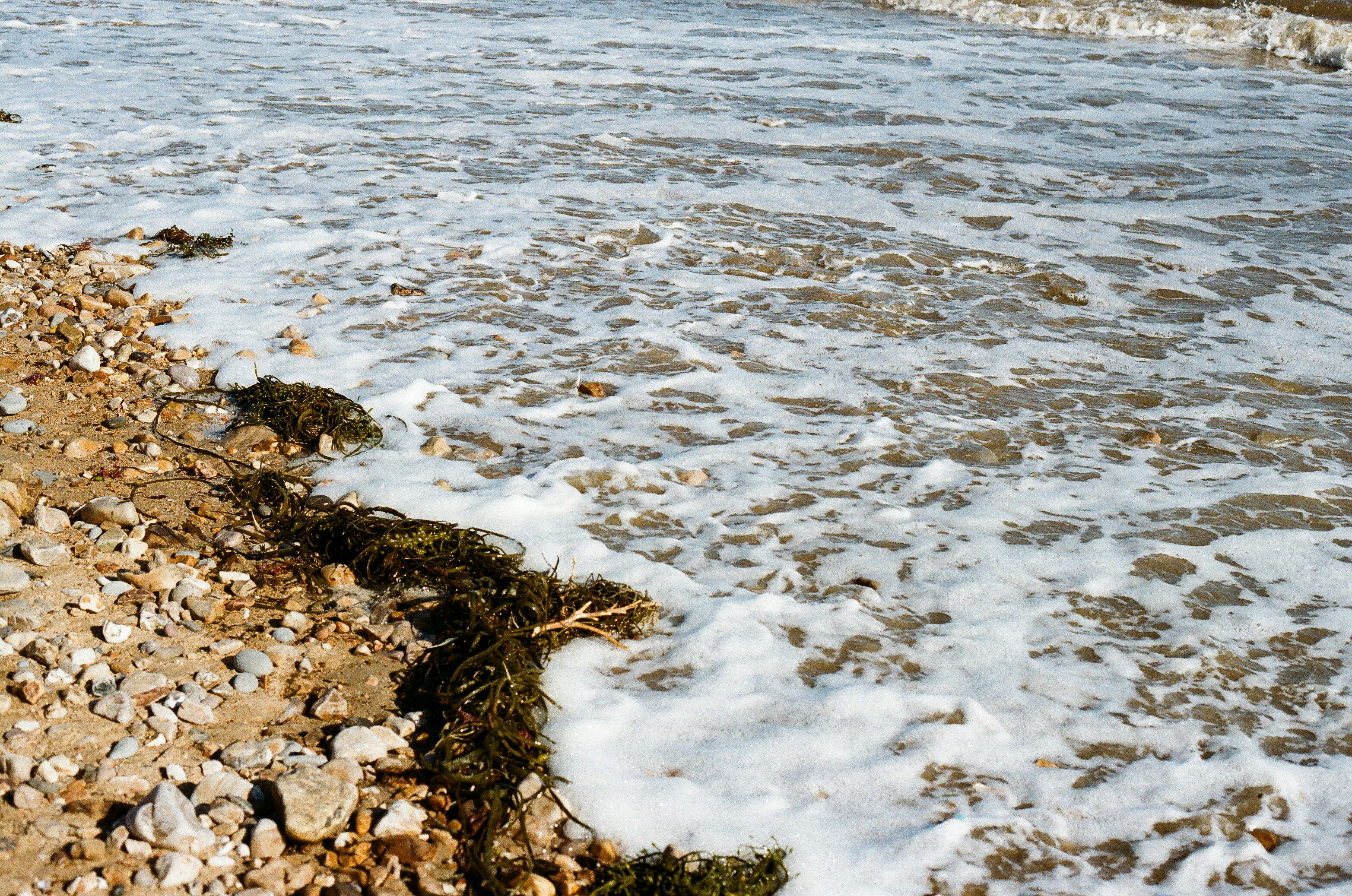 Photo by tanyabarrow