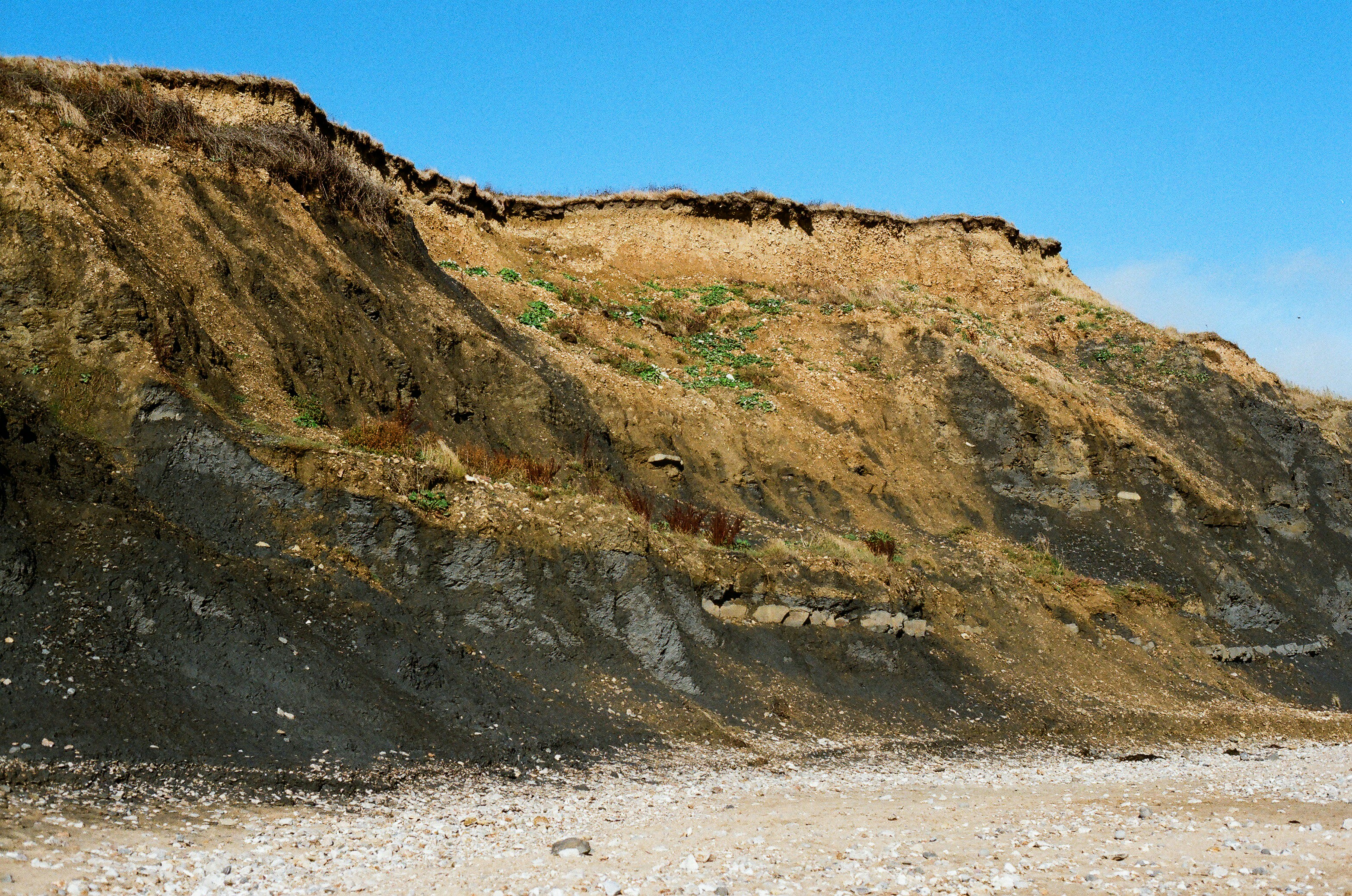 Photo by tanyabarrow