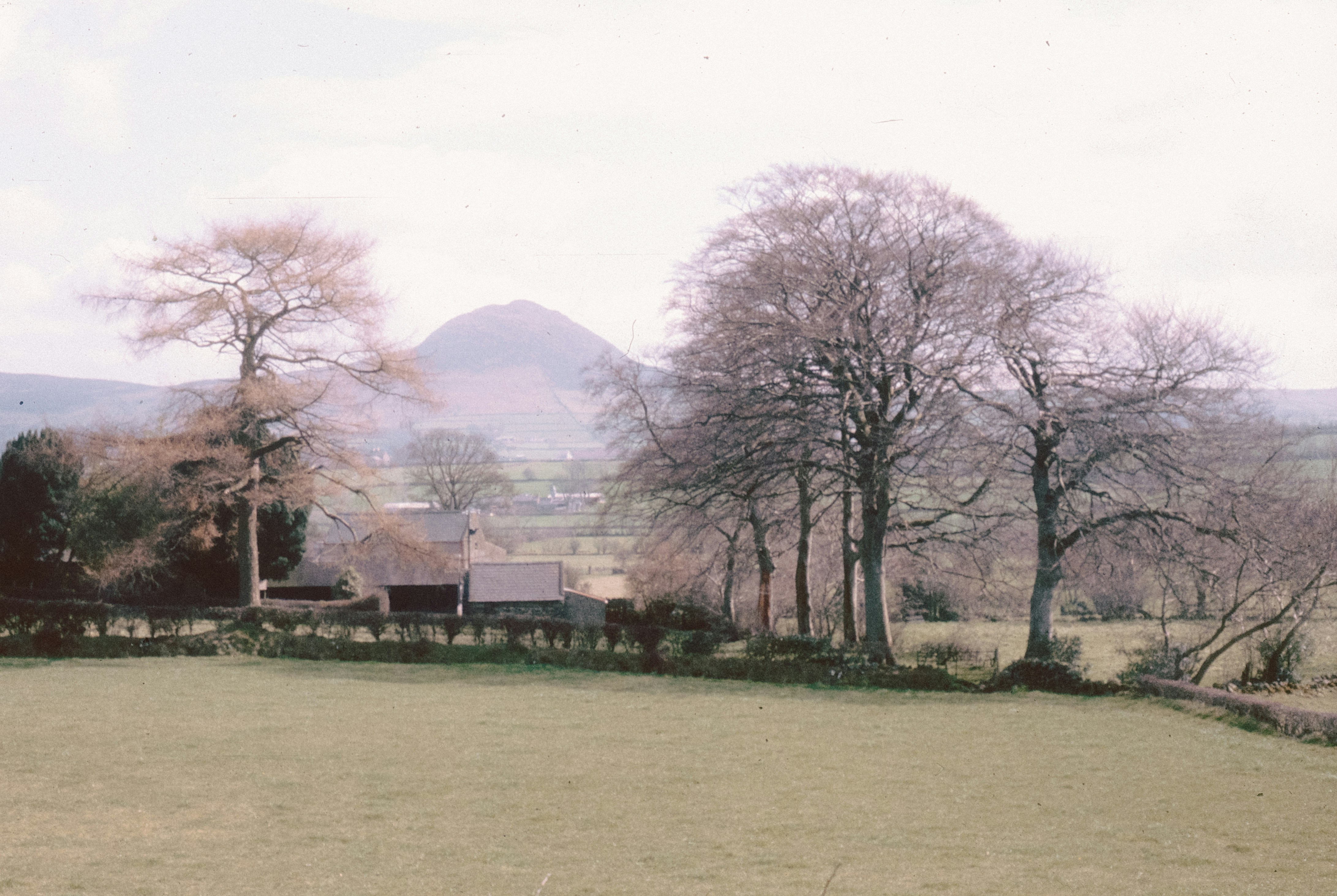 Photo by anniespratt