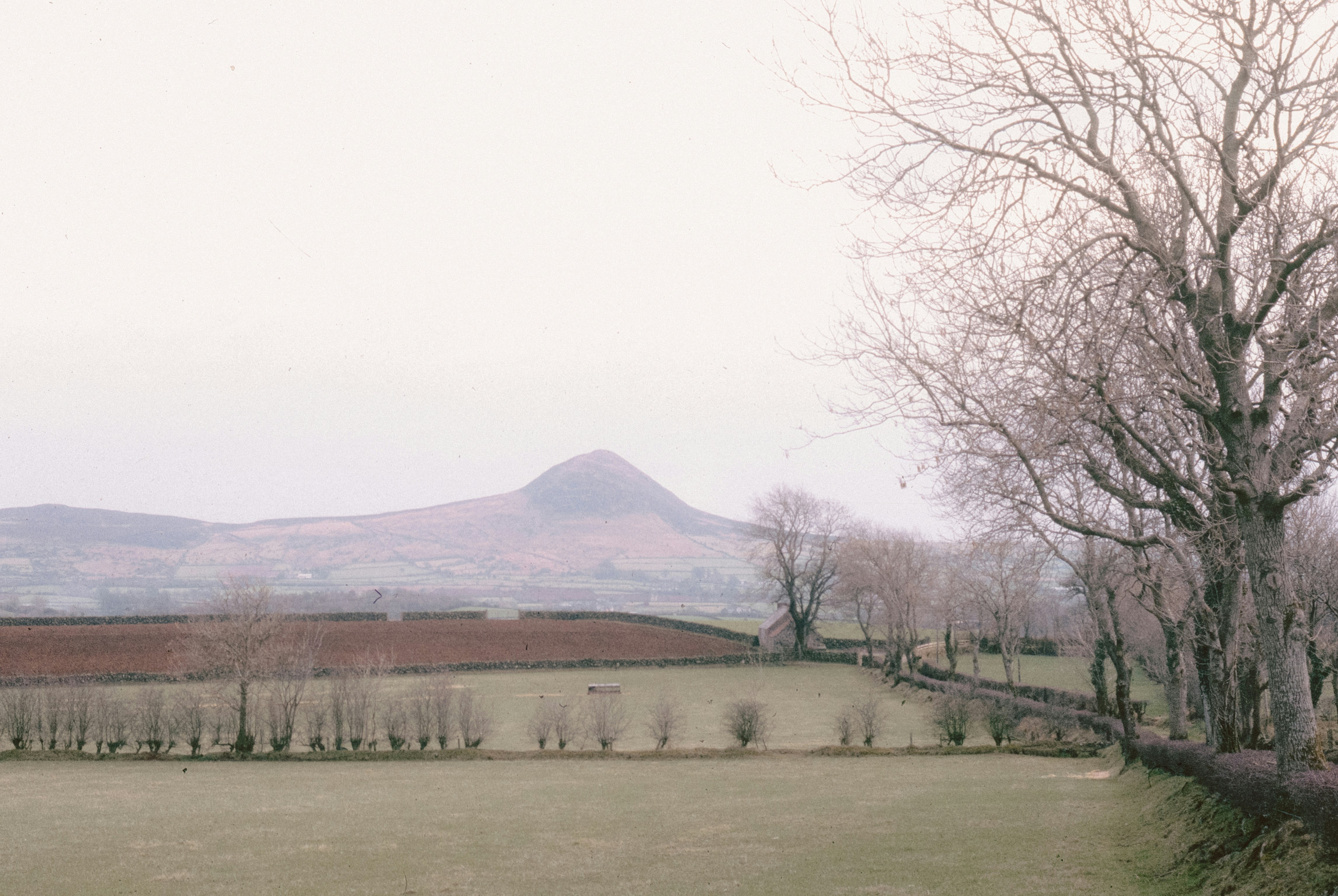 Photo by anniespratt