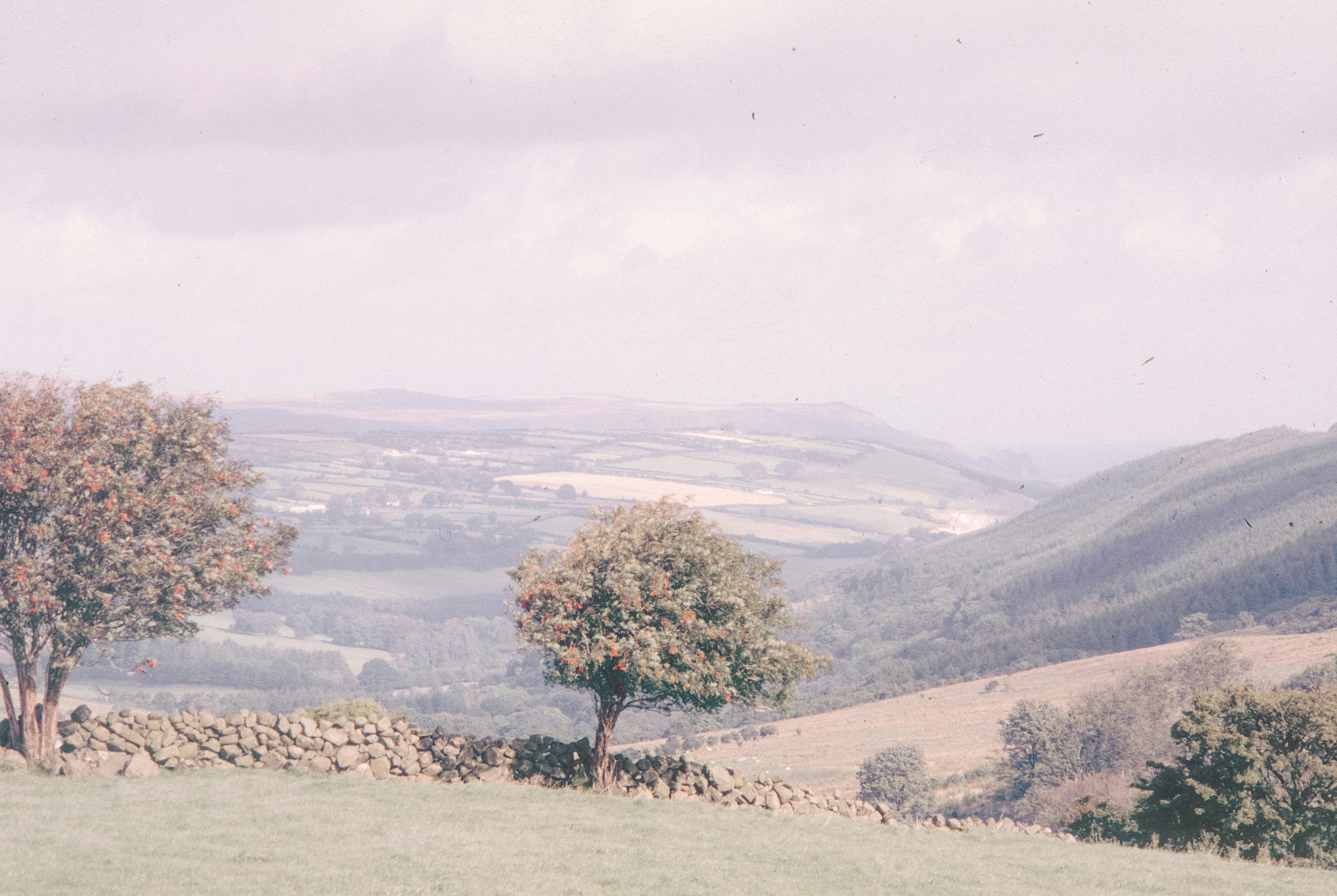 Photo by anniespratt