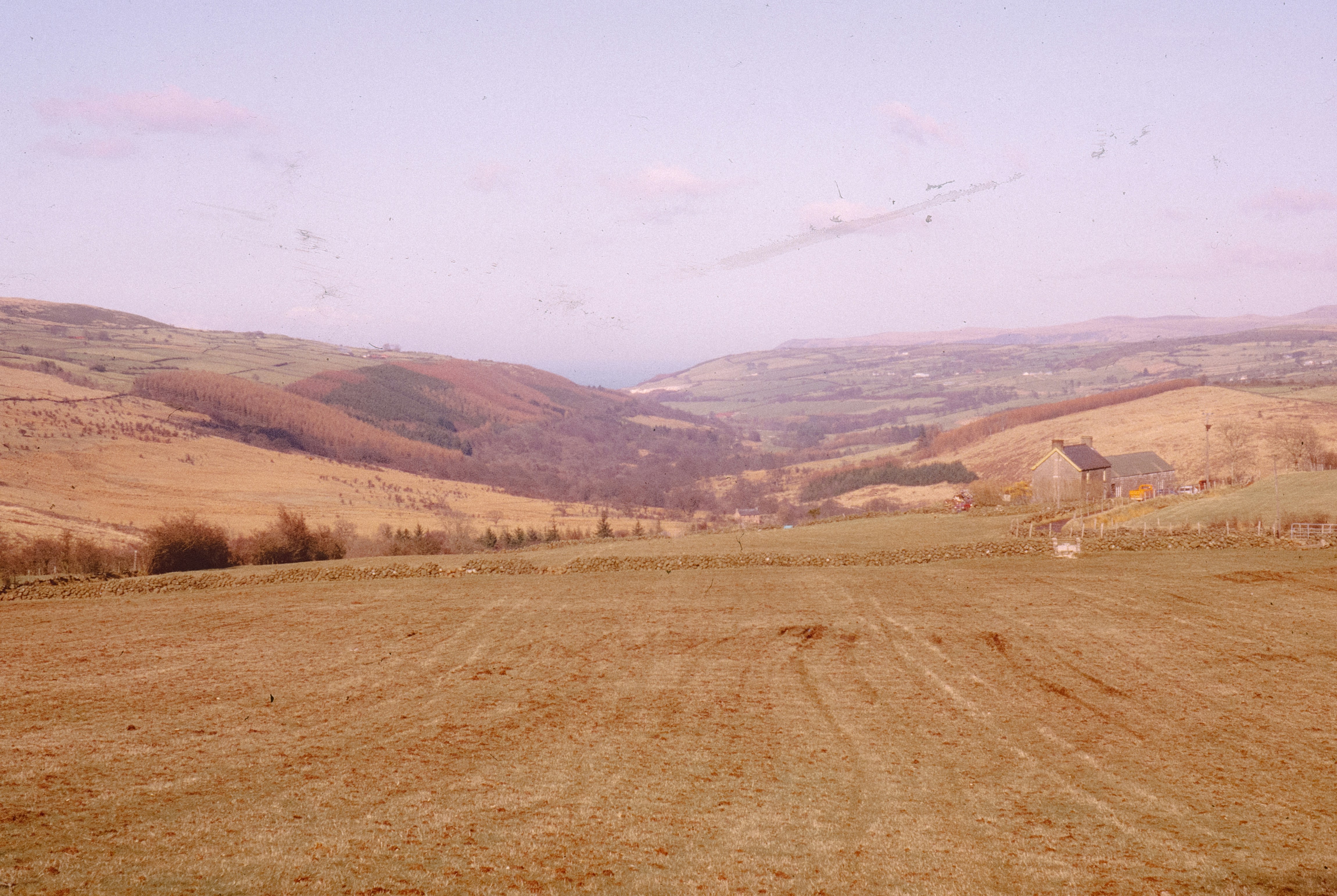 Photo by anniespratt