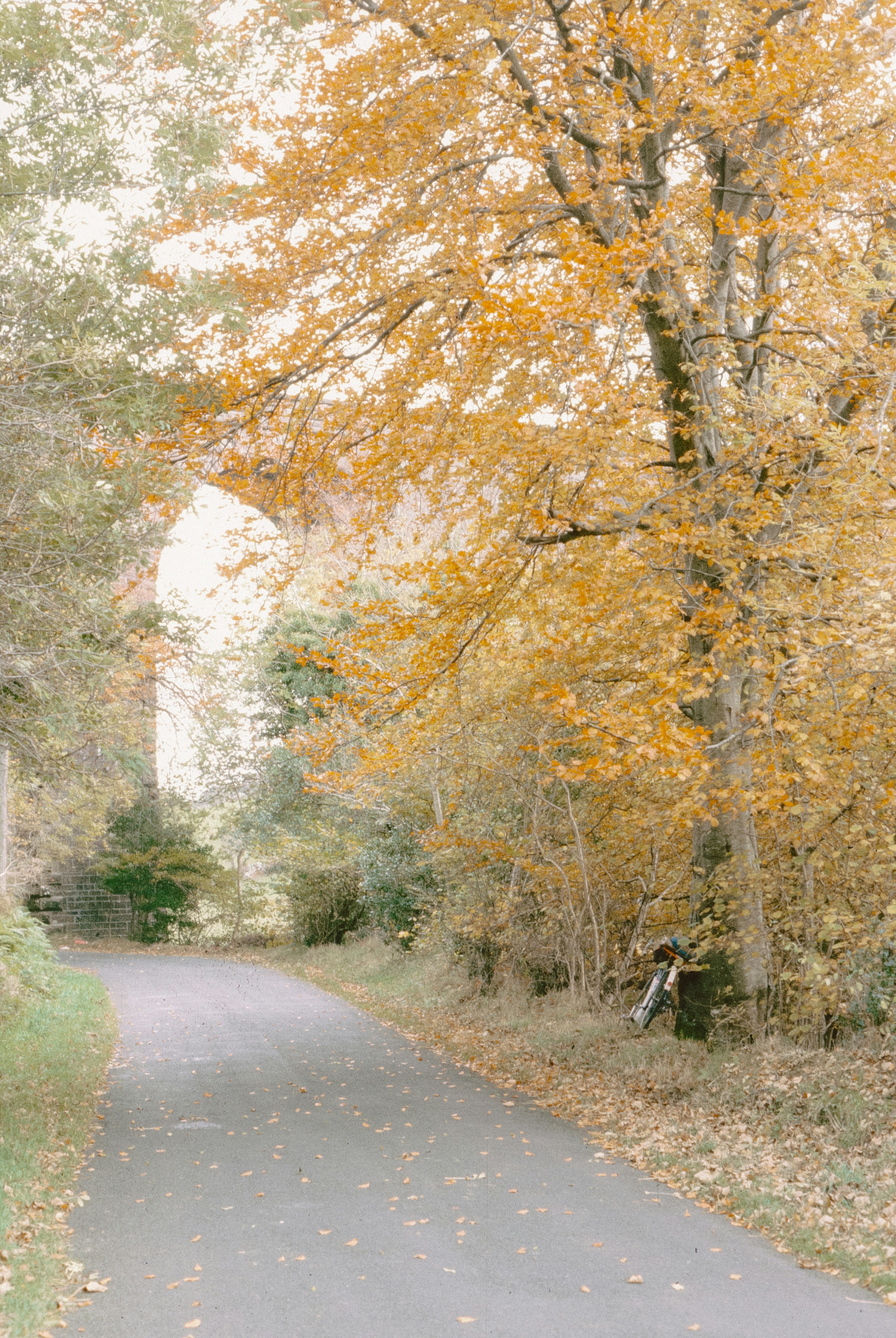 Photo by anniespratt