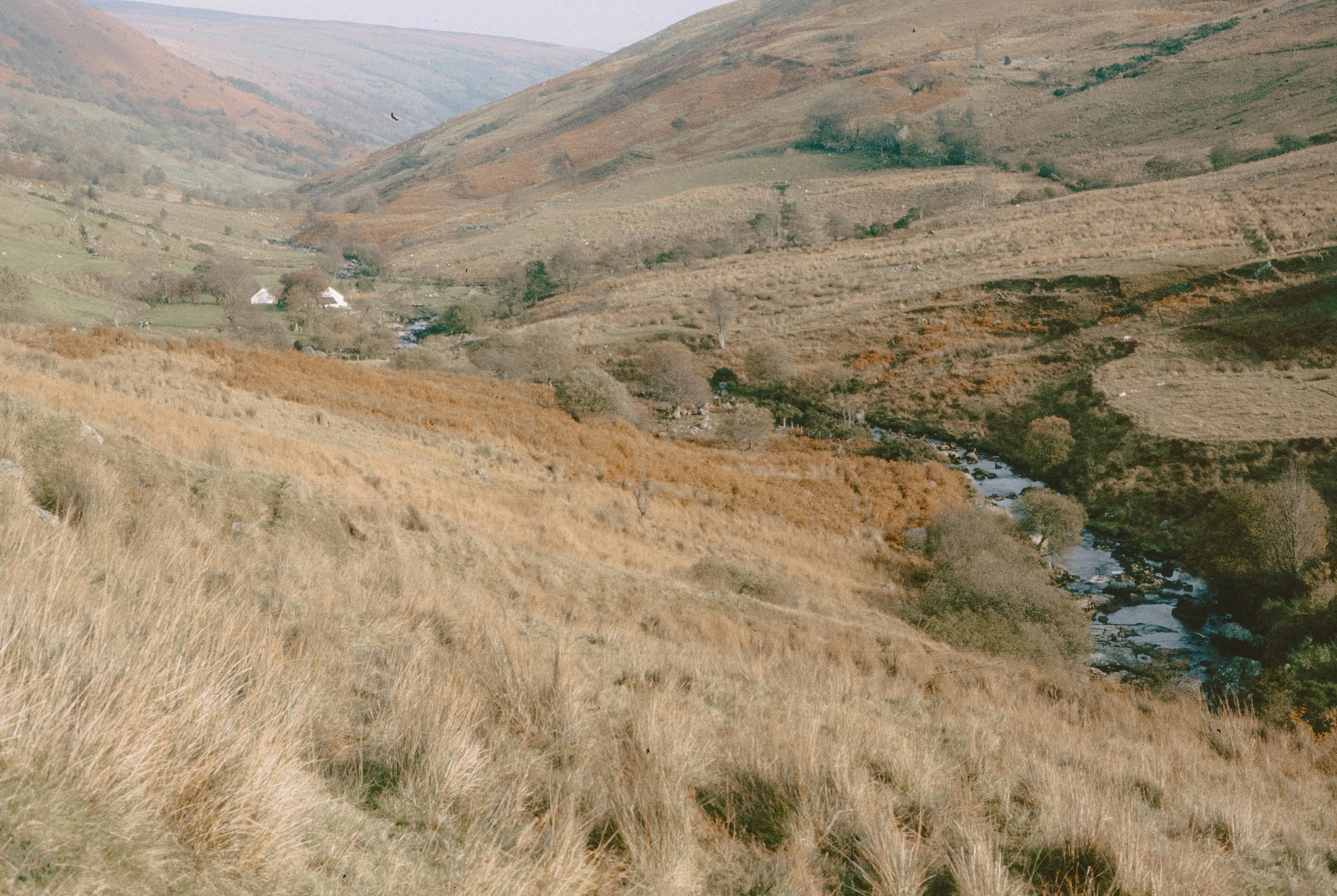 Photo by anniespratt