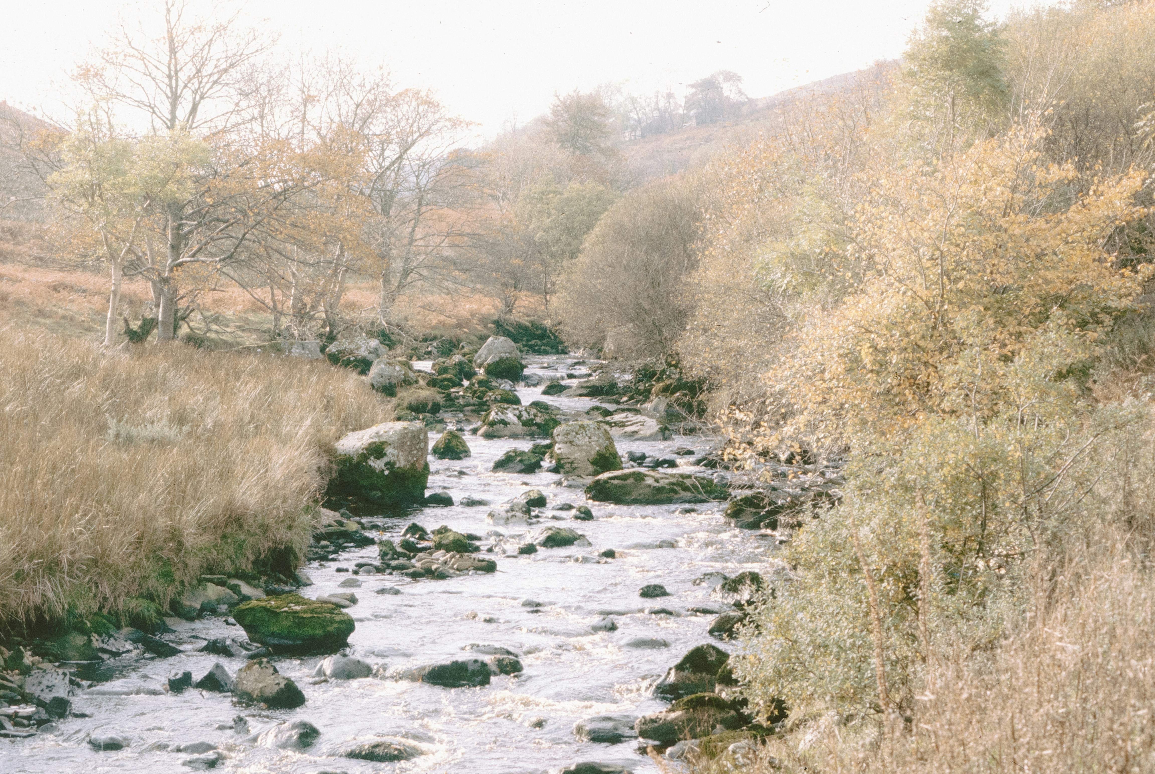 A rocky stream flows through a dry, autumnal landscape.